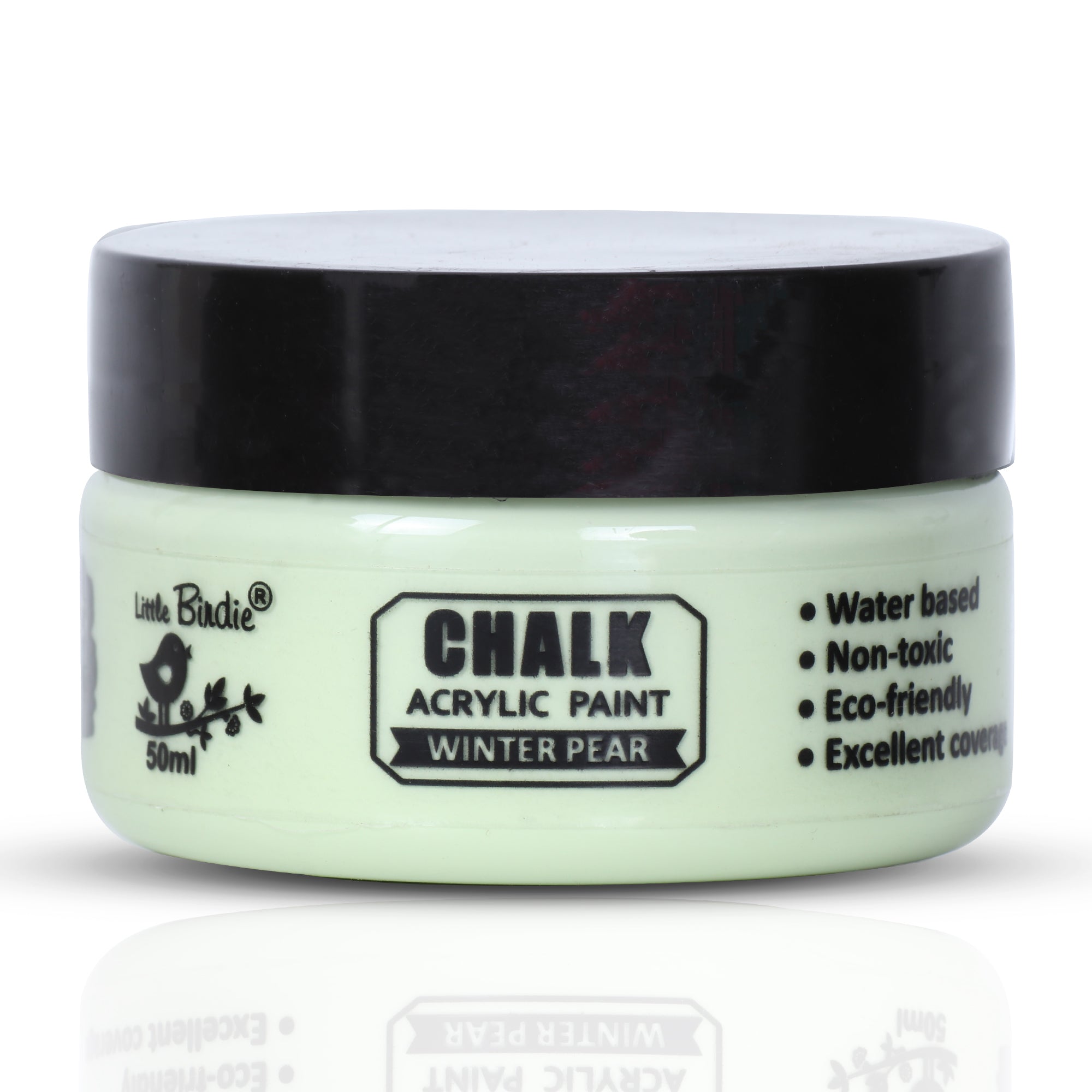 Home Decor Chalk Paint Winter Pear 50ml Bottle