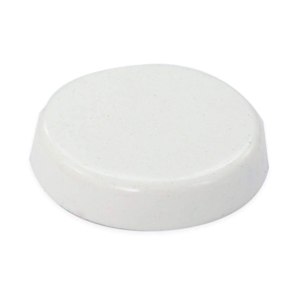 Resin Pigment Ultra White 15Gm Bottle Lb