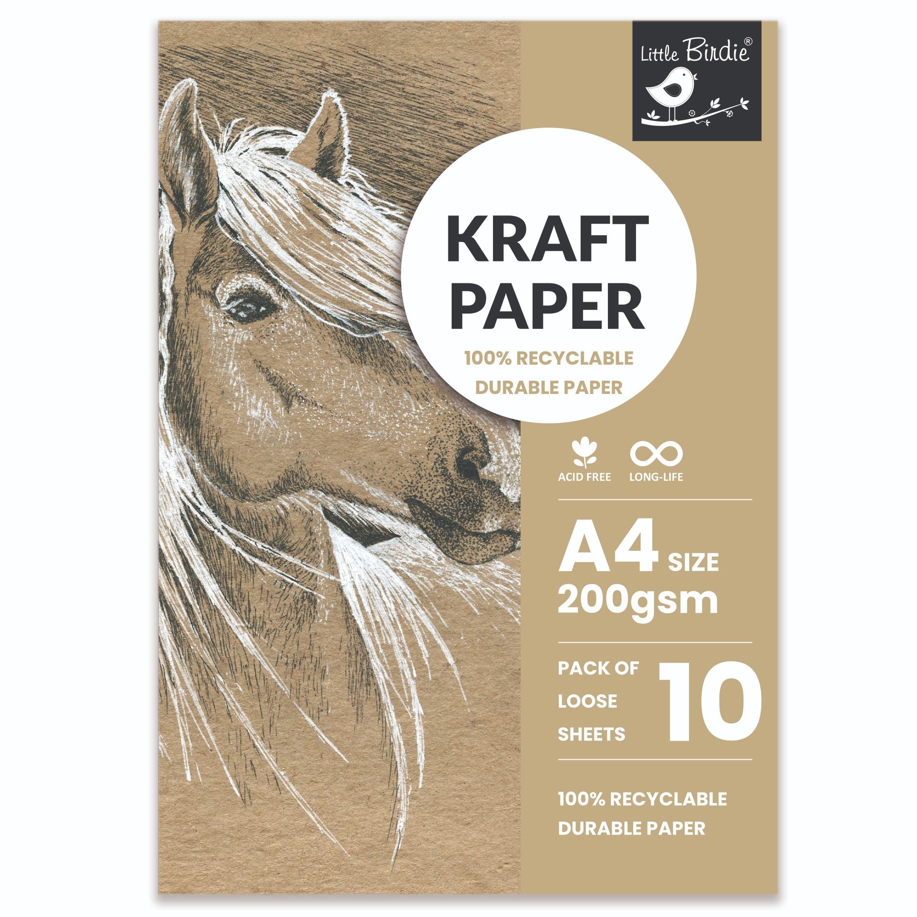 Kraft Paper A4 Size 200 Gsm Pack Of 10 Sheets Pb Lb