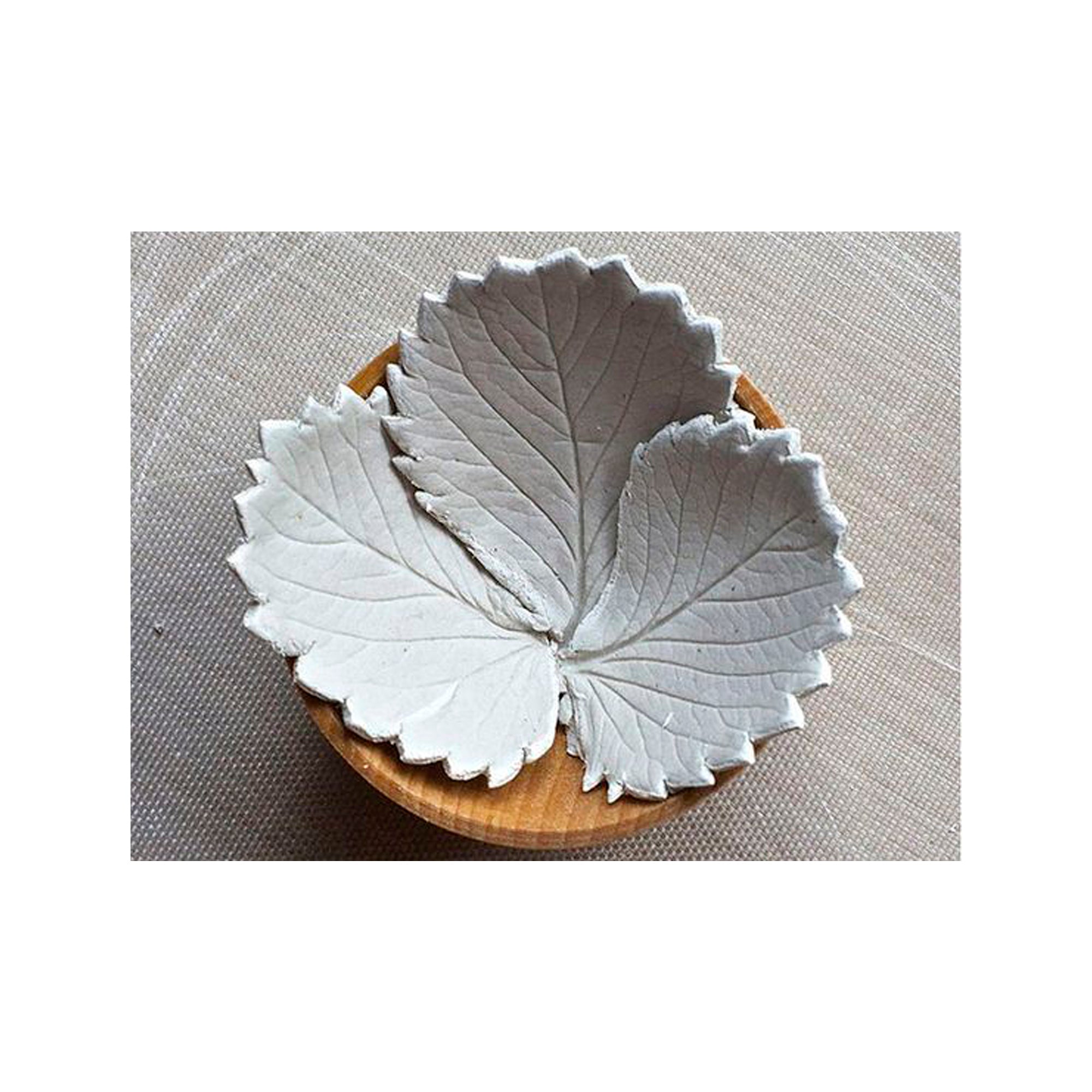 Craft White Cement 500Gms