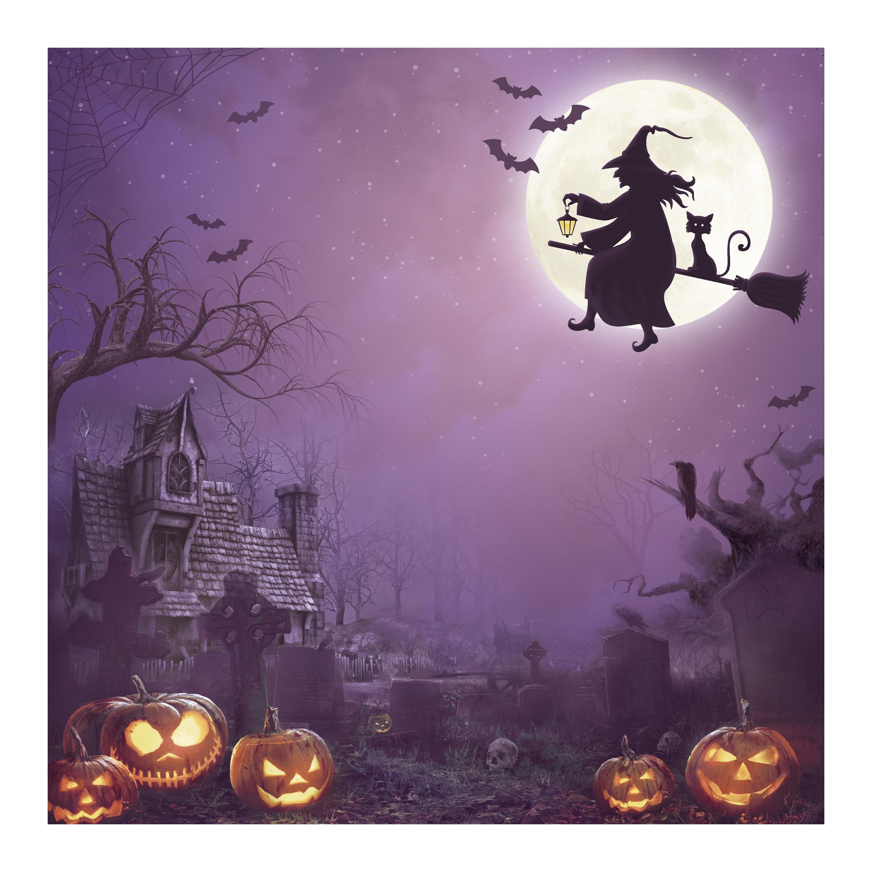 12 x12 inch Printed Cardstock pack- Halloween, 12 Sheets, 12 Designs, 250 gsm