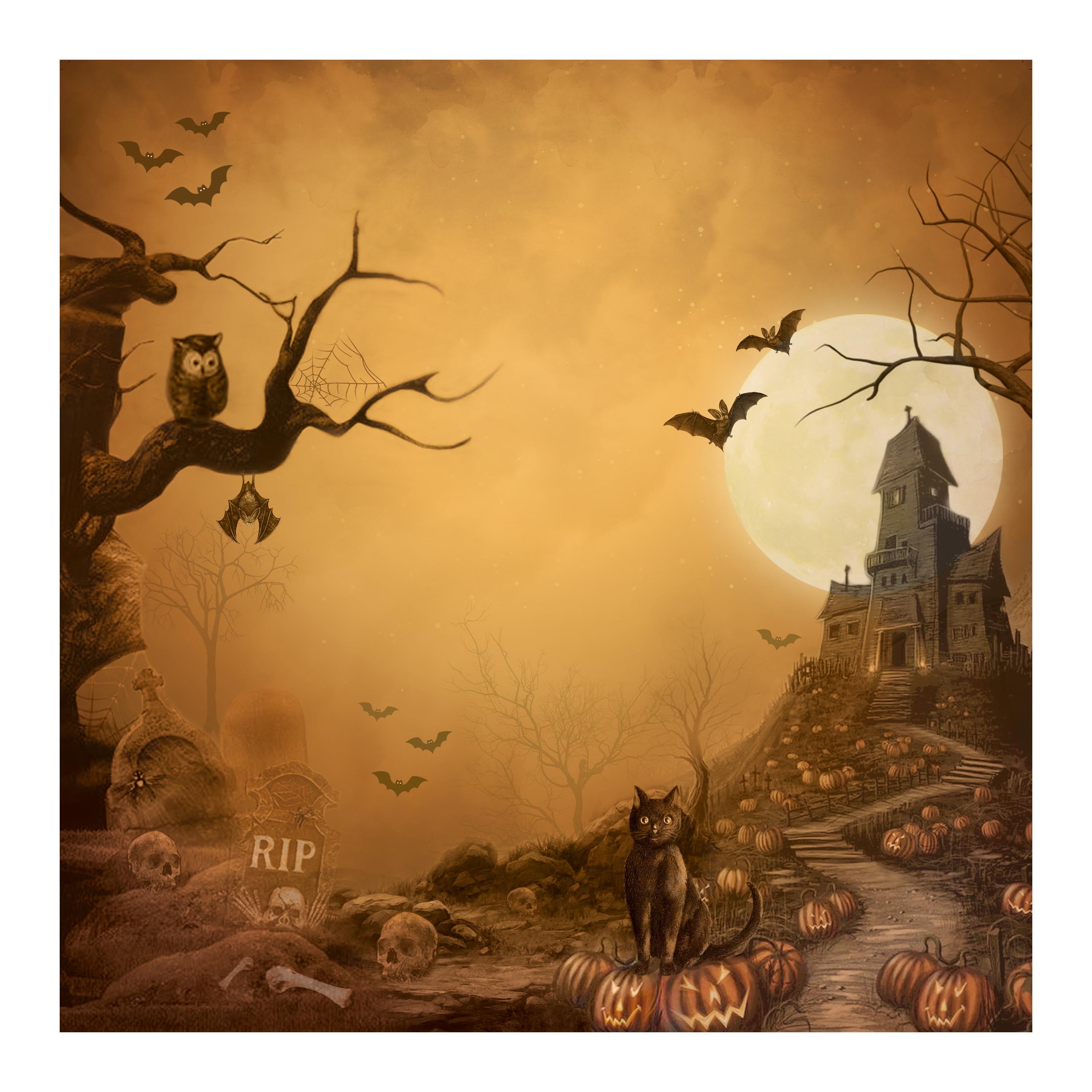 6 x 6 inch Printed Cardstock pack- Halloween, 24 Sheets, 12 Designs, 250 gsm