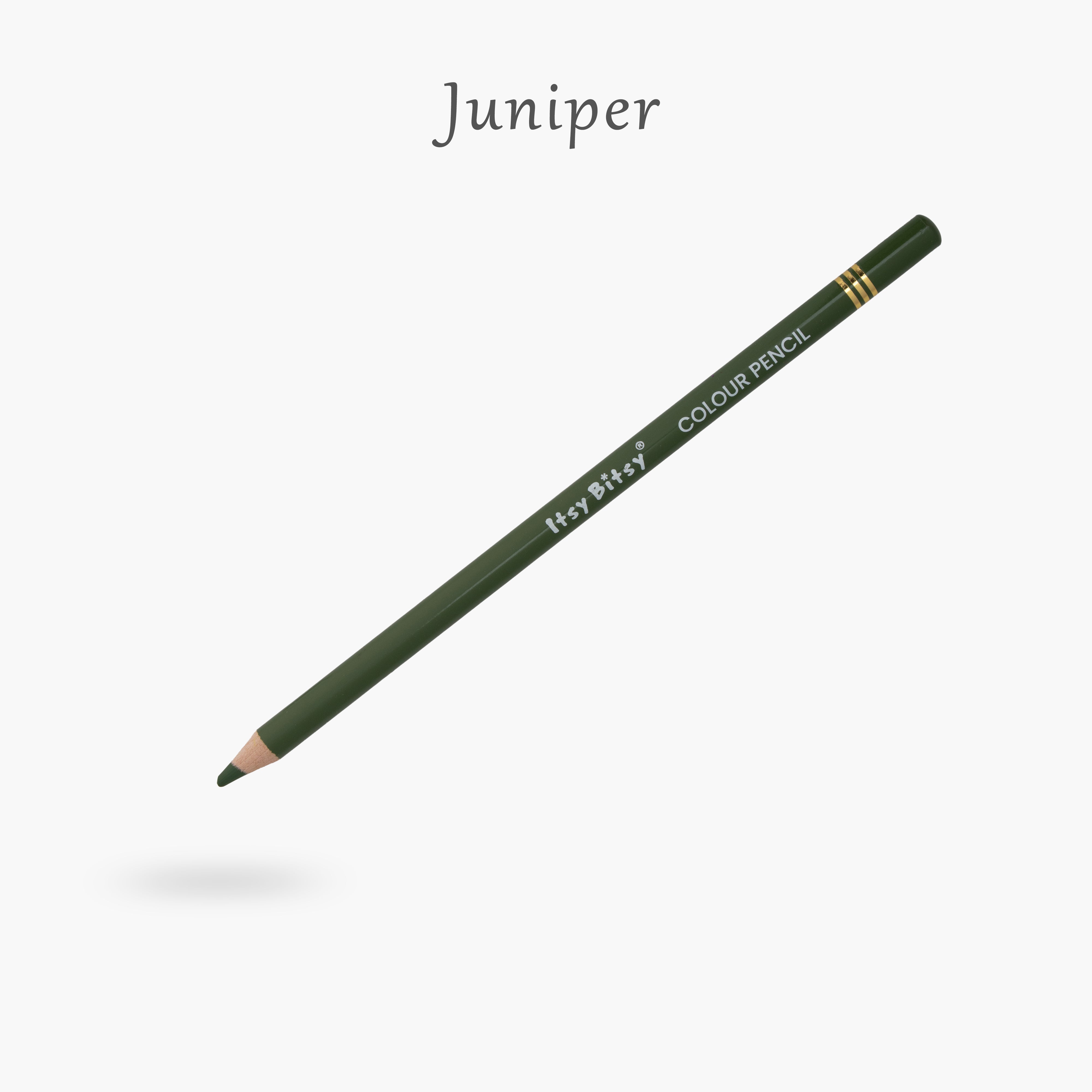 Premium Artist Colour Pencil 1pc - Juniper
