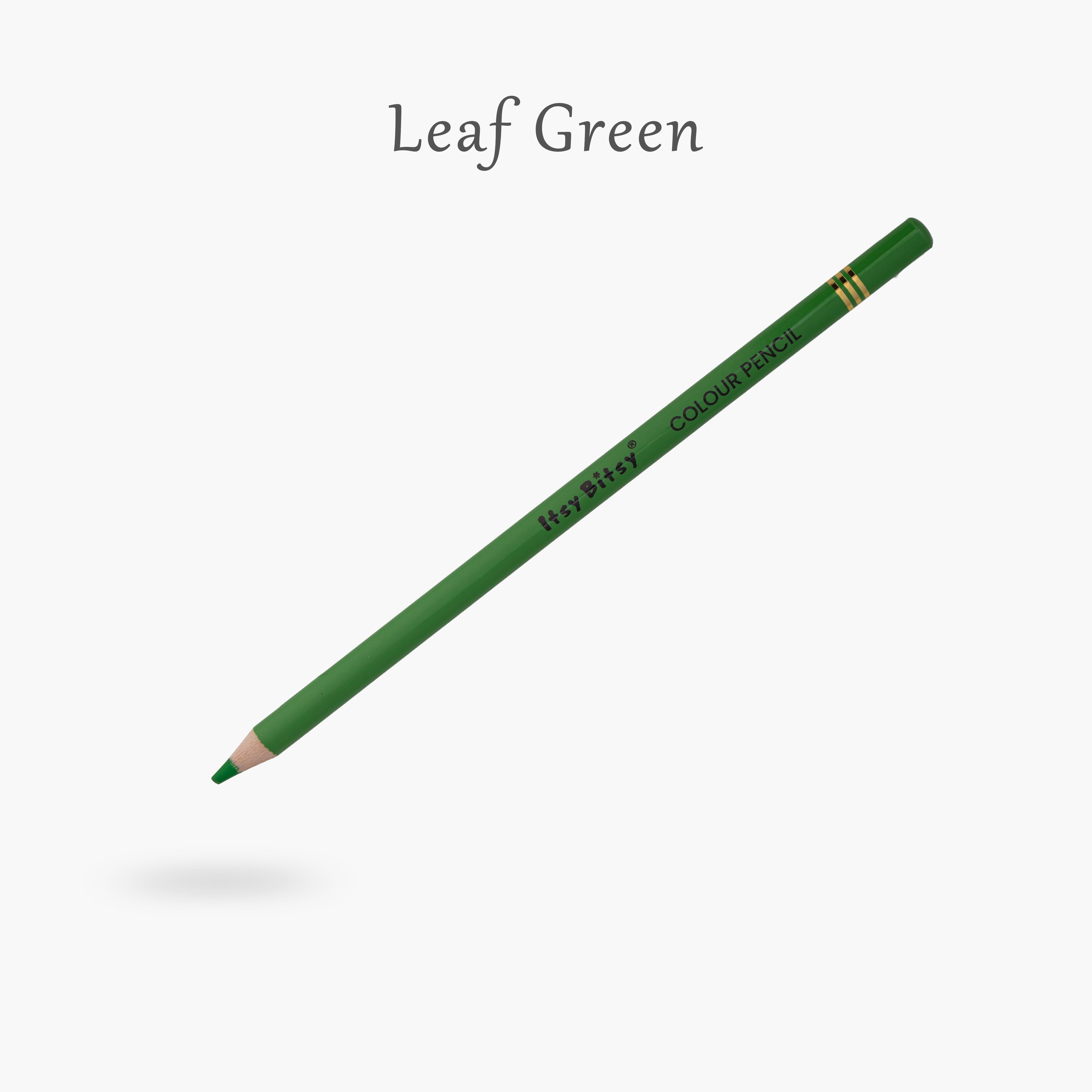 Premium Artist Colour Pencil 1pc - Leaf Green
