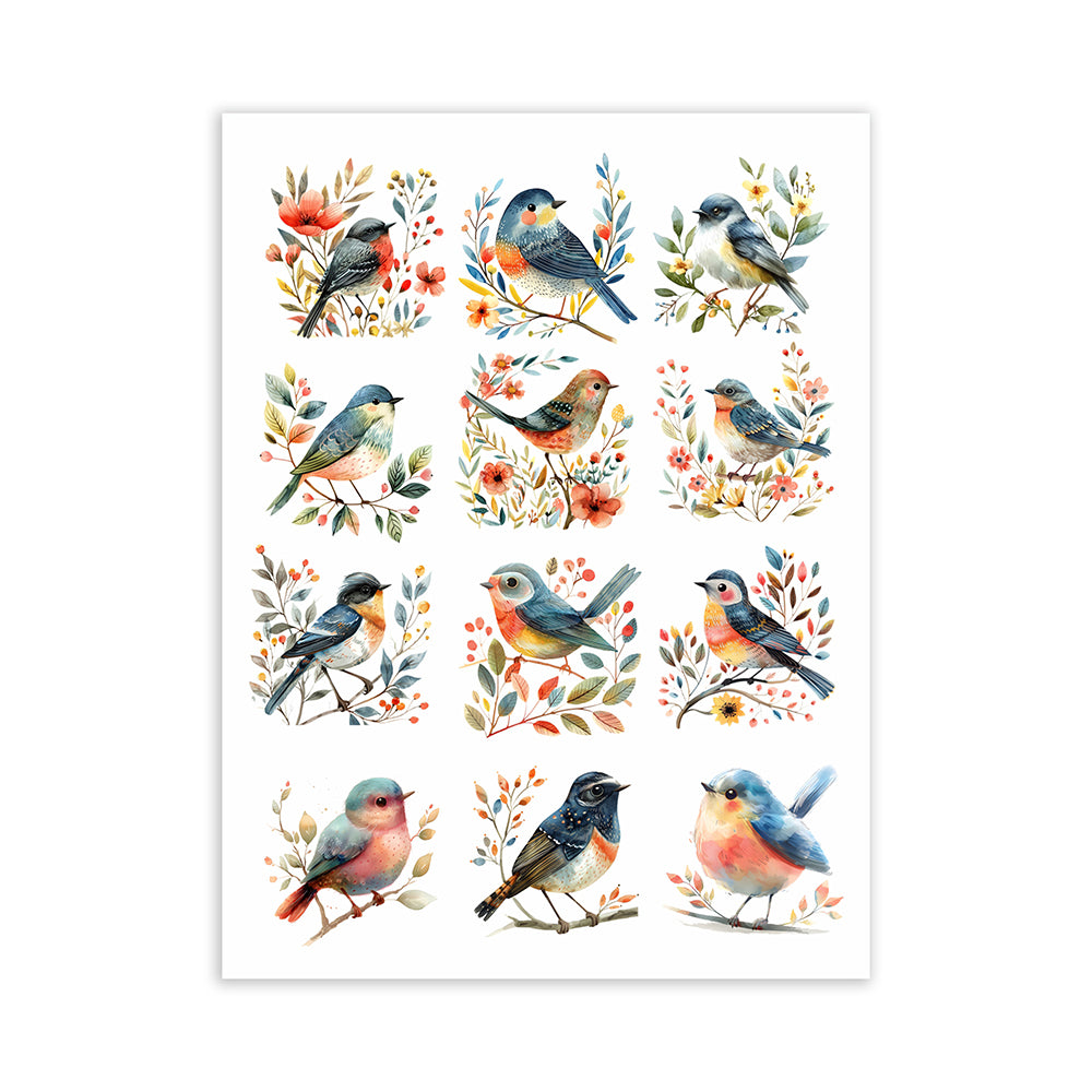 Deco Transfer Sheet Bird Gallery 7.5 X 9.5inch 1pc