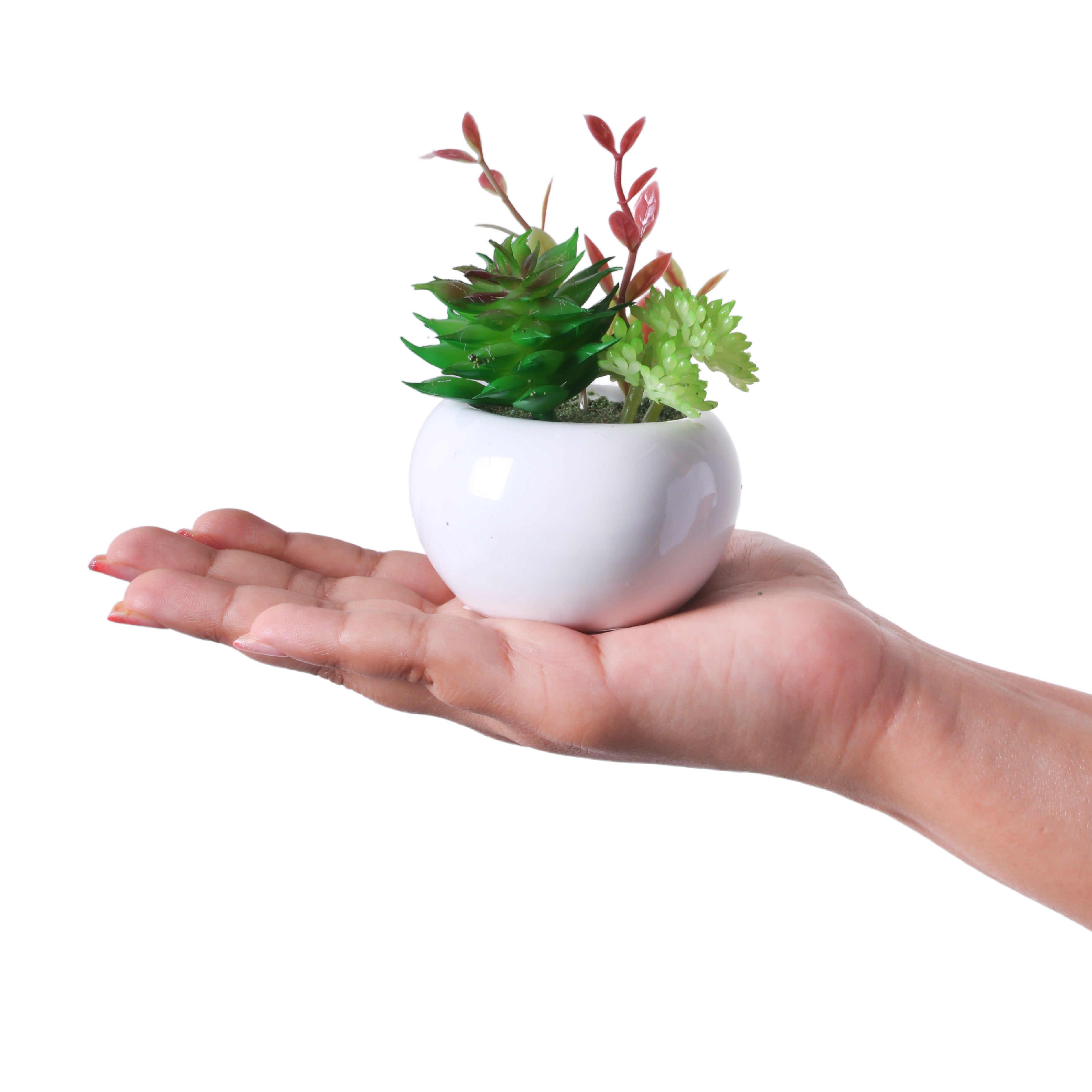 Artificial Flower Succulent Pot Echeveria Sage 4Inch 1Pot