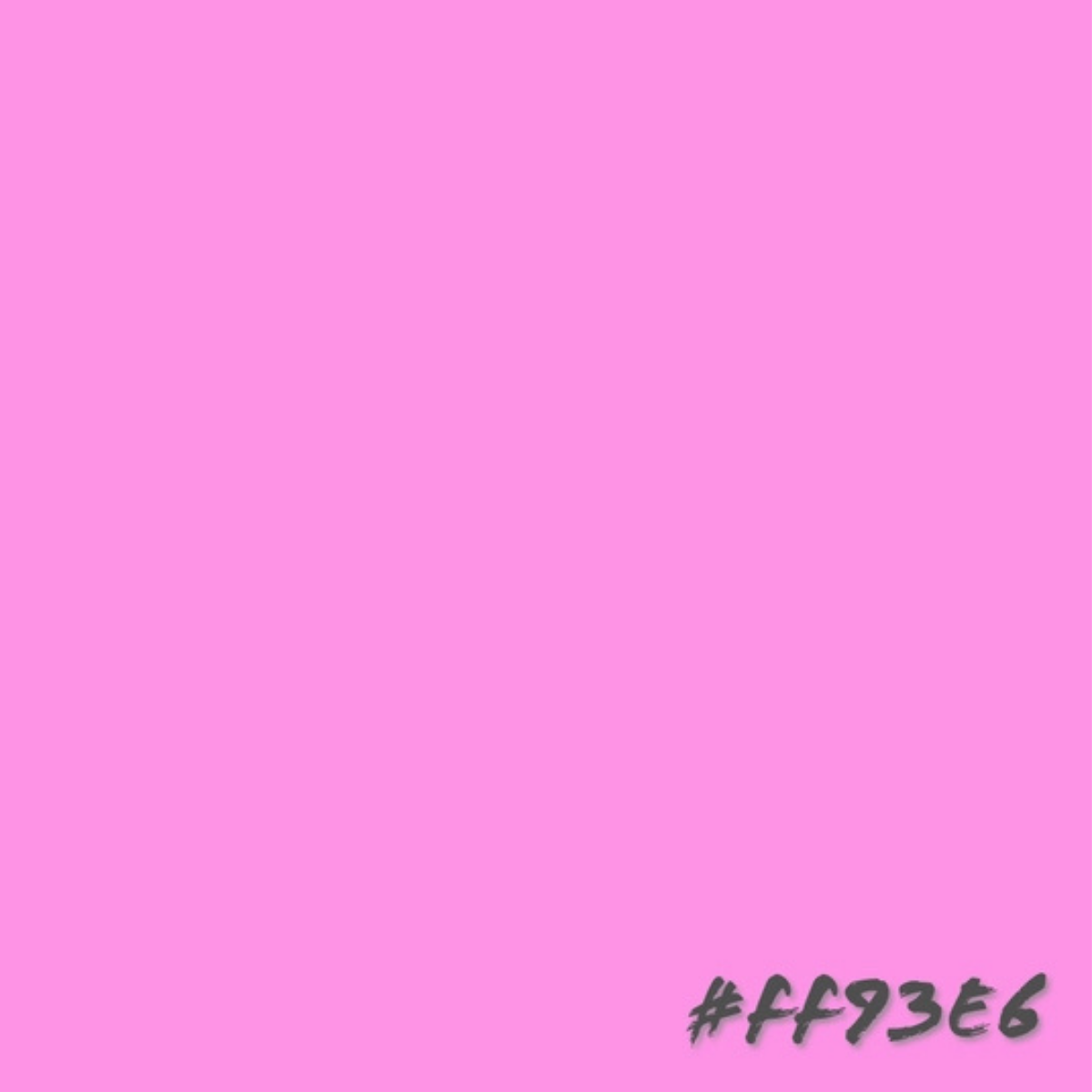 Graffiti Spray Paint Erica Dark 400ml Bottle