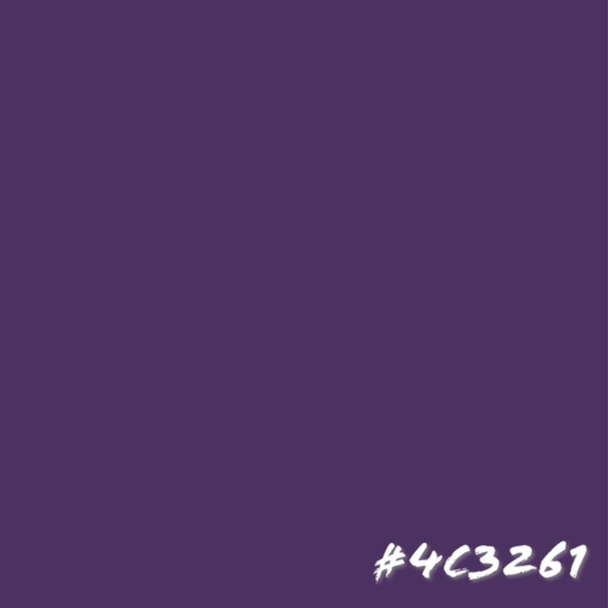 Graffiti Spray Paint Black Currant 400ml Bottle