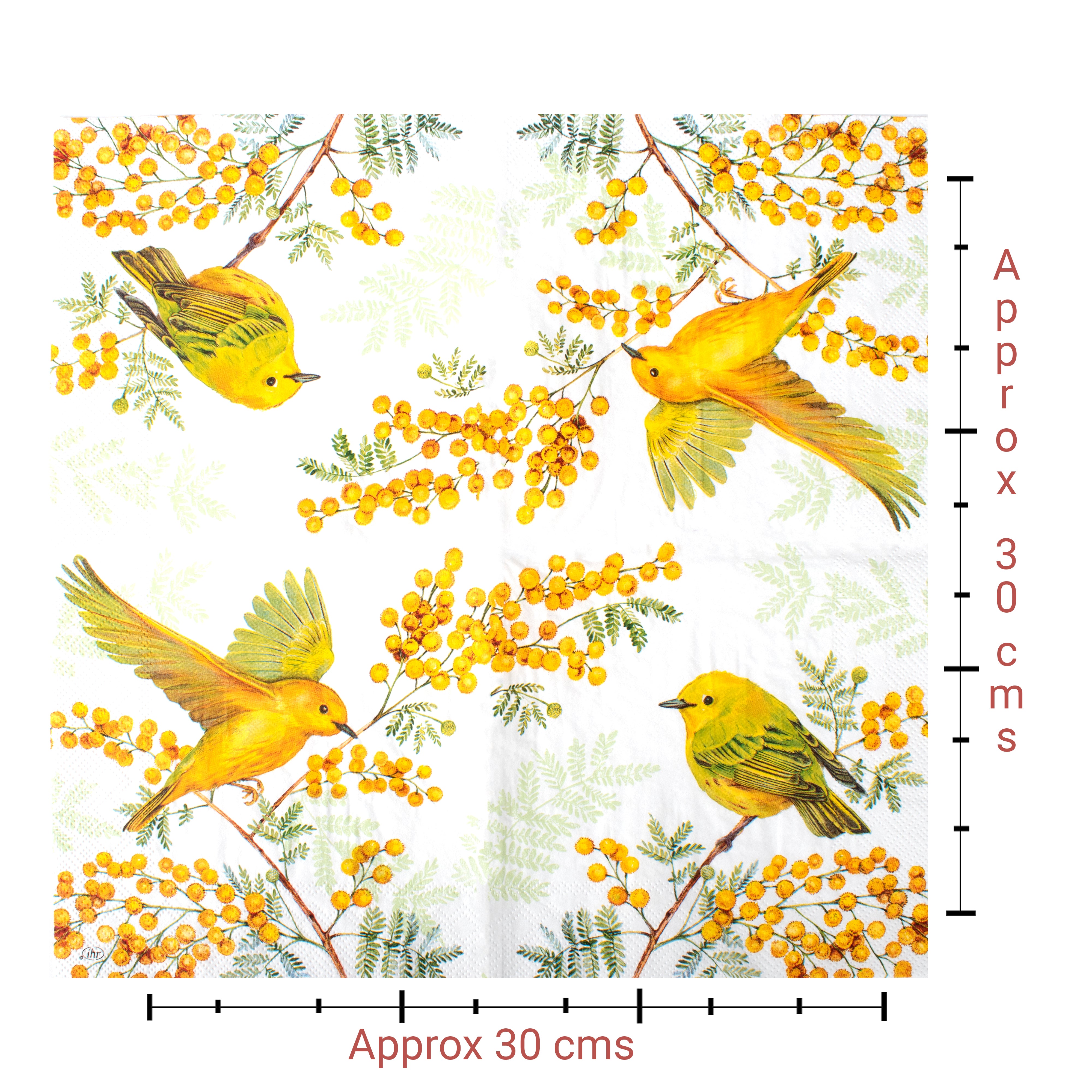 Decoupage Napkin Songbird 13 X 13inch 3PLY 1pc