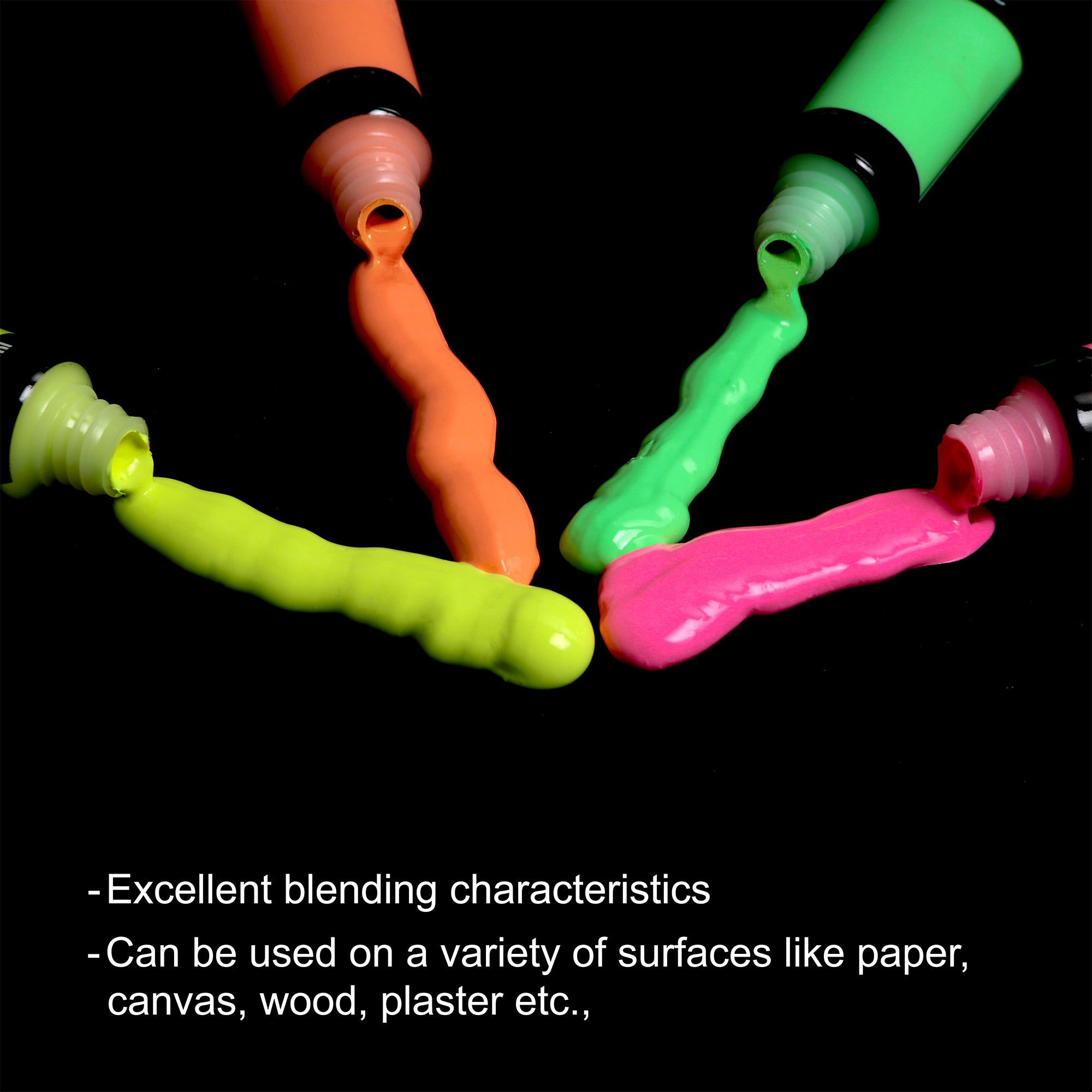 Professional artist combo