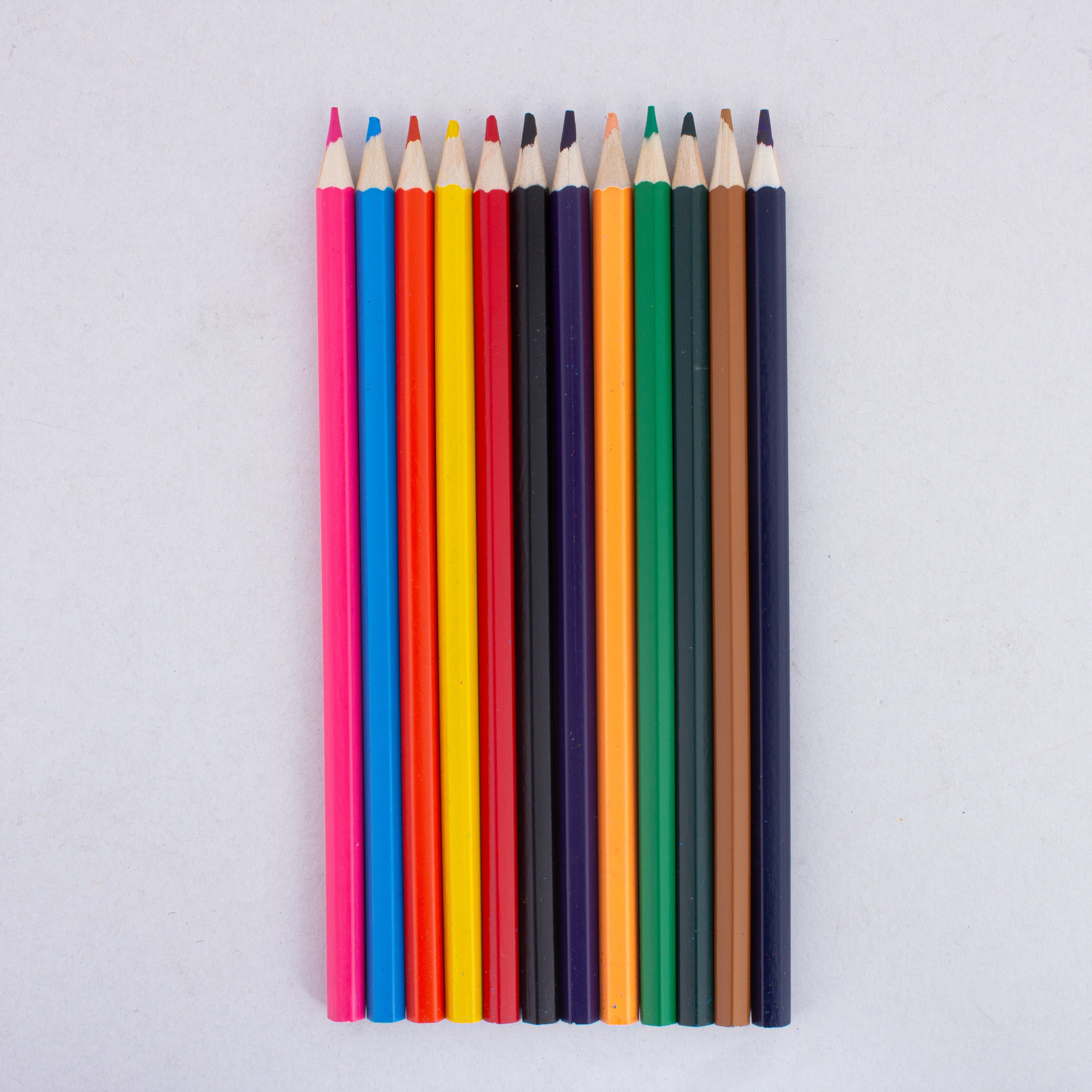 Premium Watercolour Pencils 12colours Cylindrical Box
