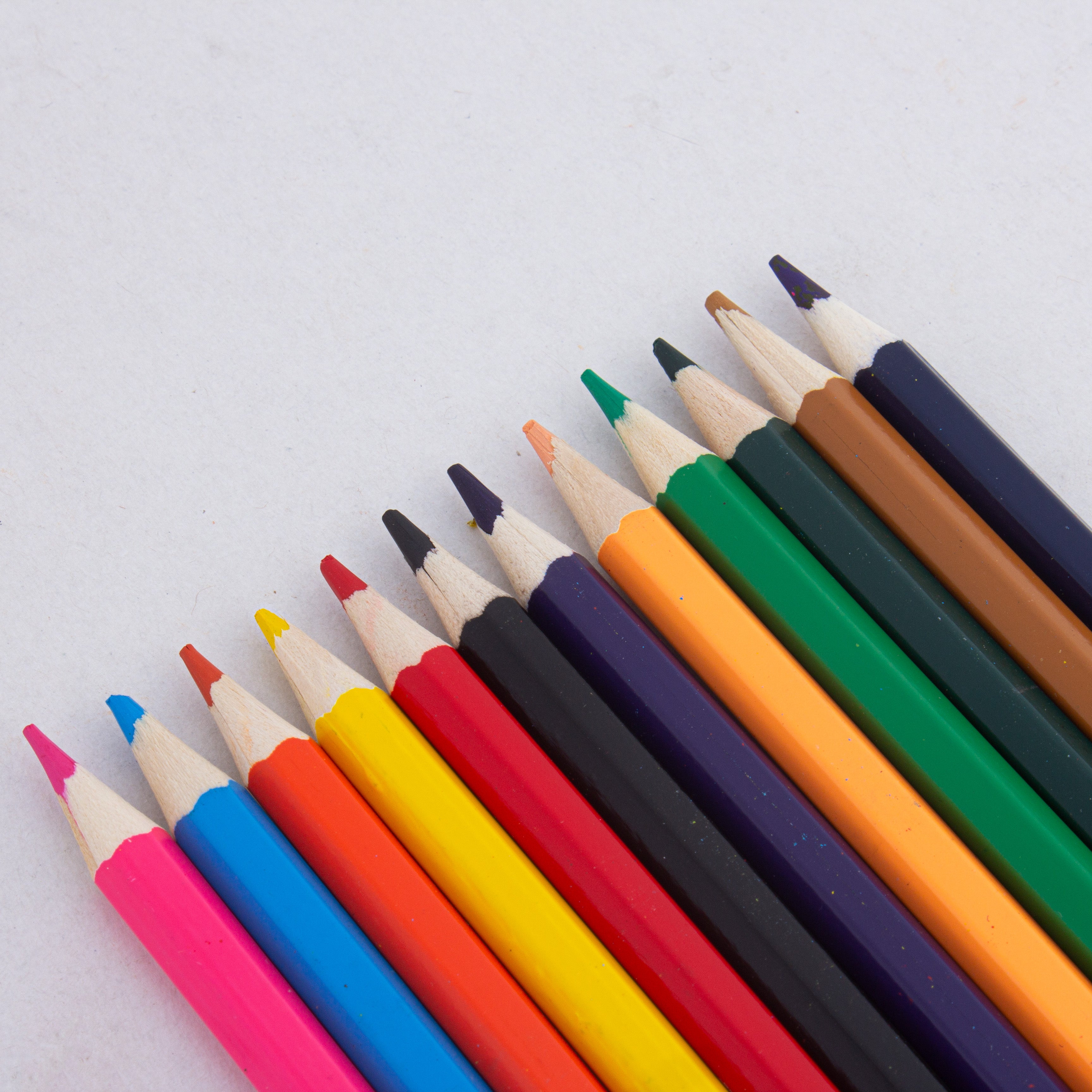 Premium Watercolour Pencils 12colours Cylindrical Box