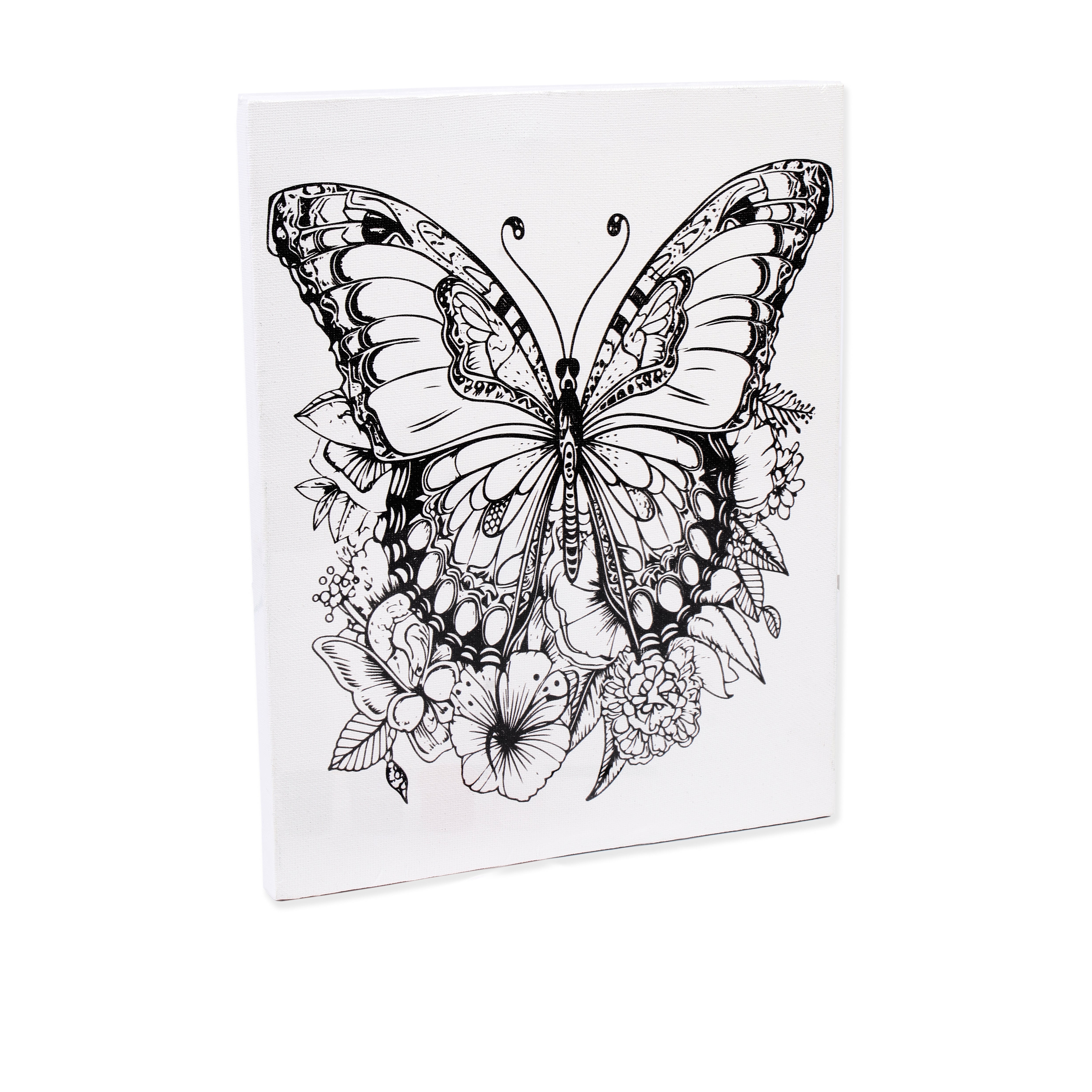 Pre -printed Canvas With Colours Butterfly Beauty Painting Kit 8 X10inch