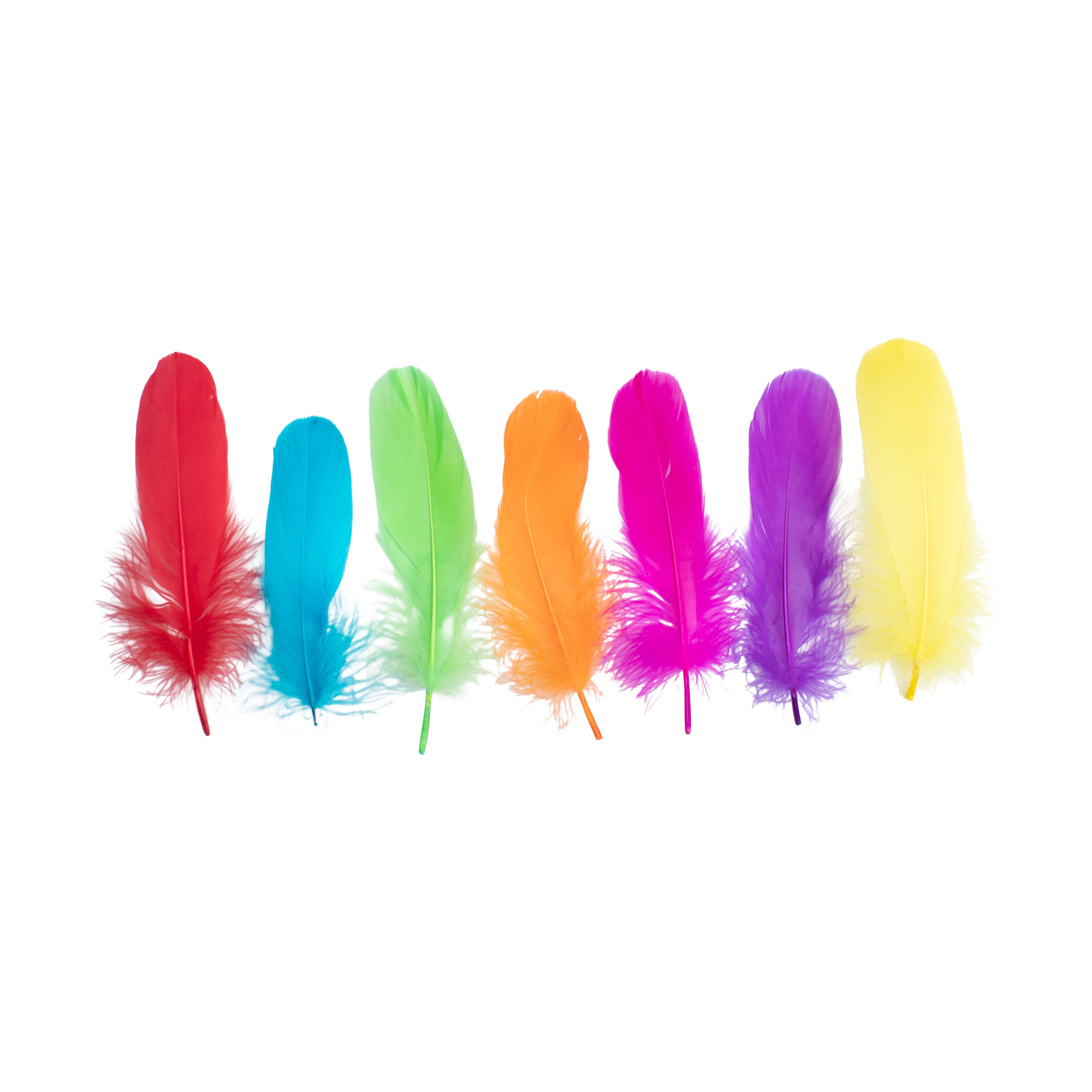 Goose Feathers Bright Approx 15 to 17cm 20pc