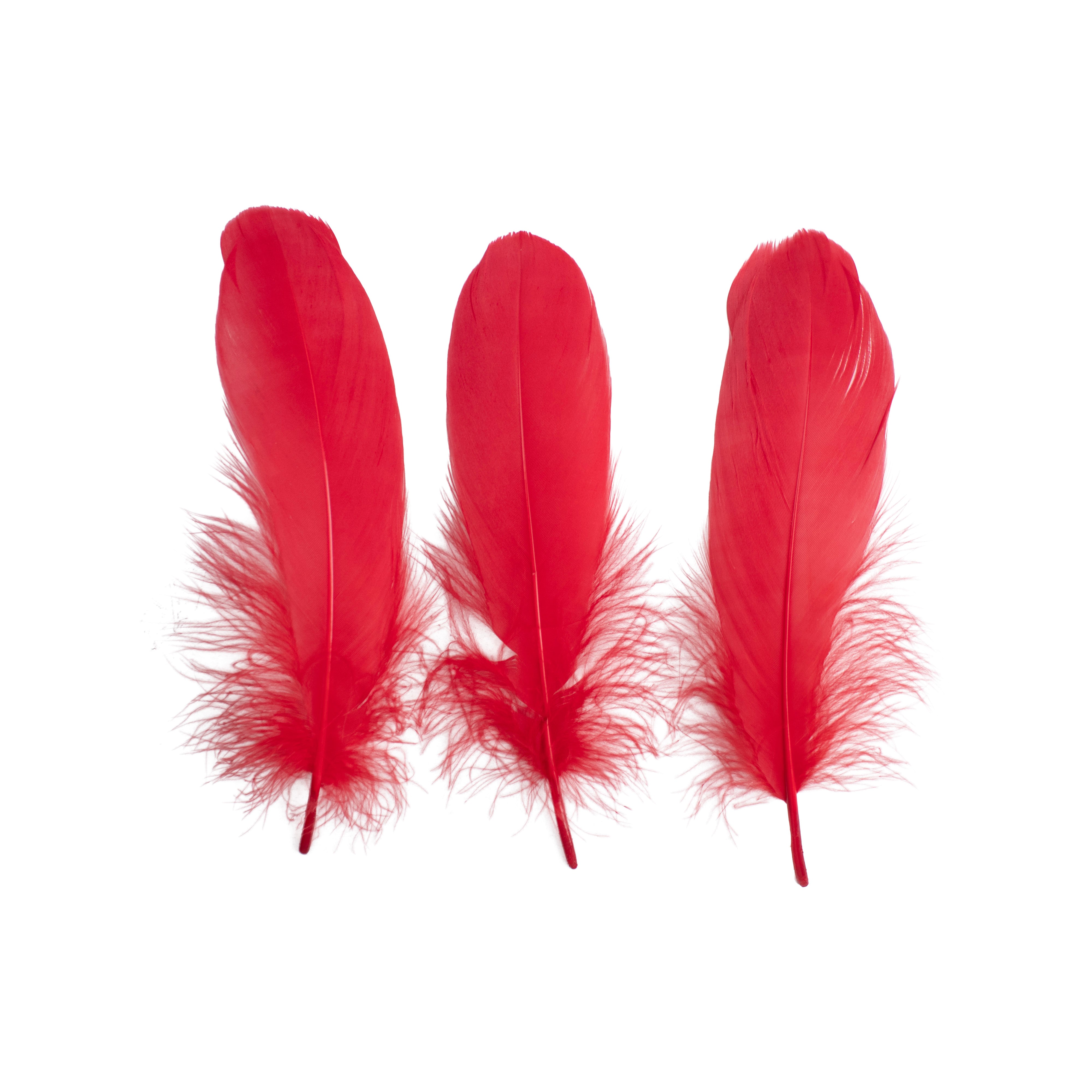 Goose Feathers Bright Approx 15 to 17cm 20pc