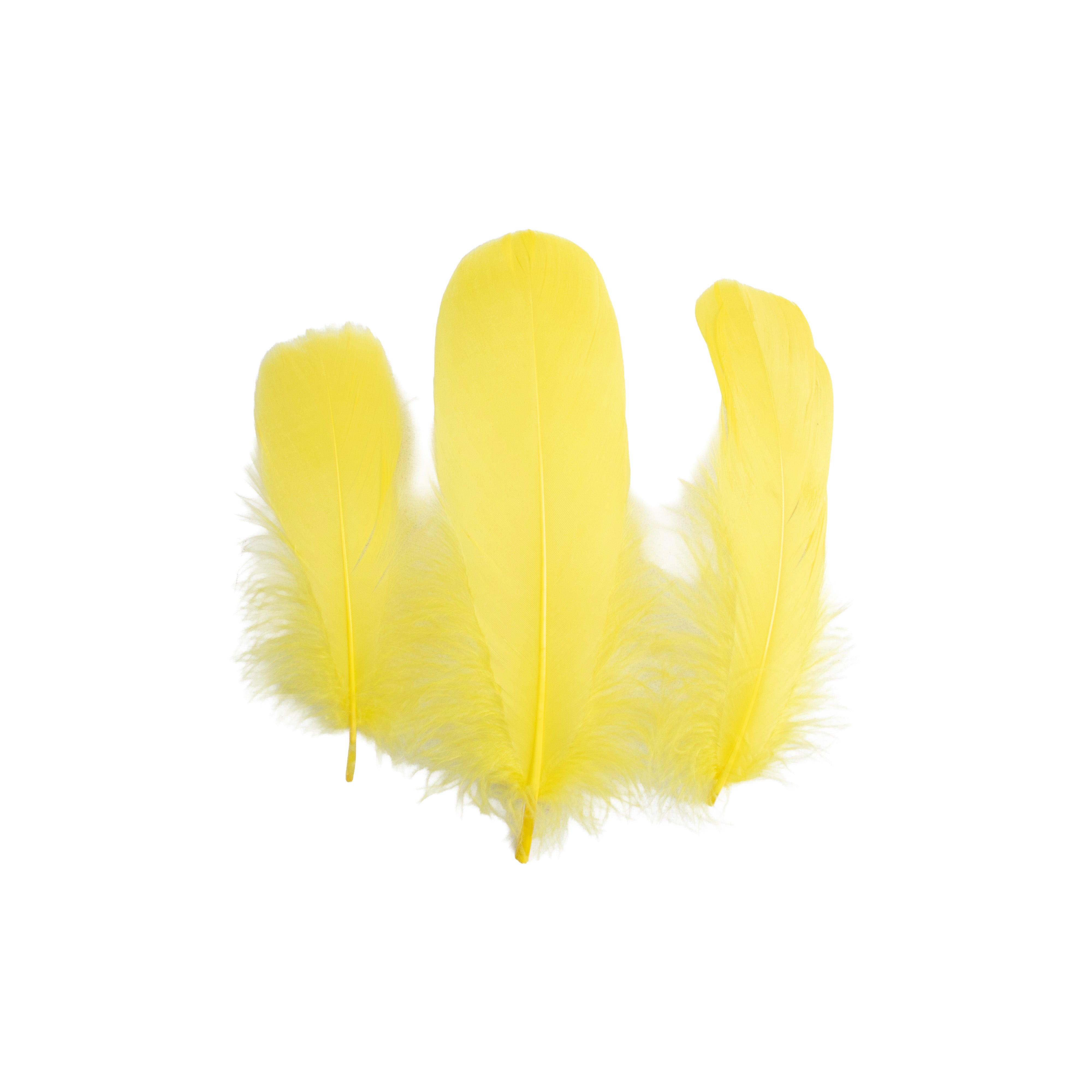 Goose Feathers Bright Approx 15 to 17cm 20pc