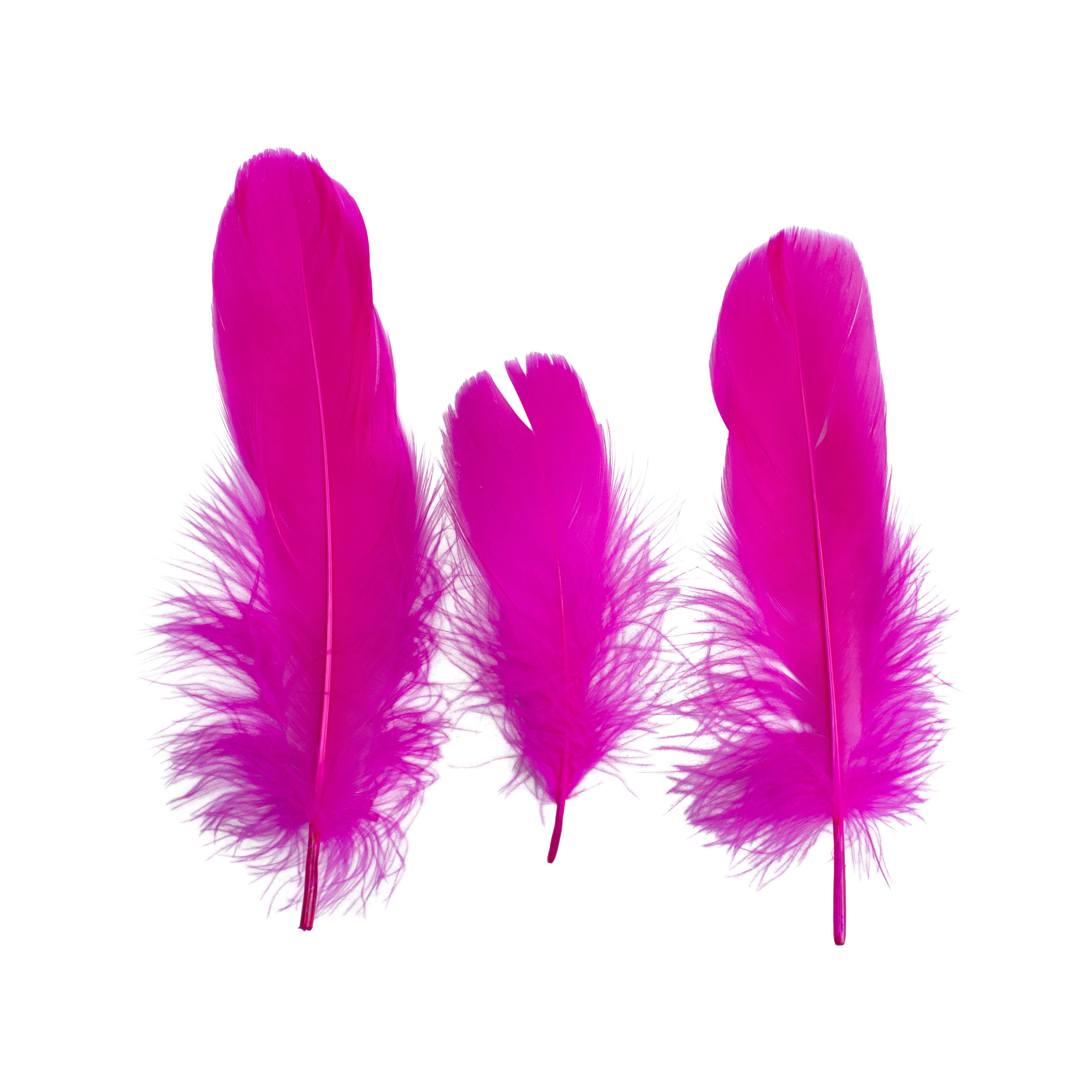 Goose Feathers Bright Approx 15 to 17cm 20pc
