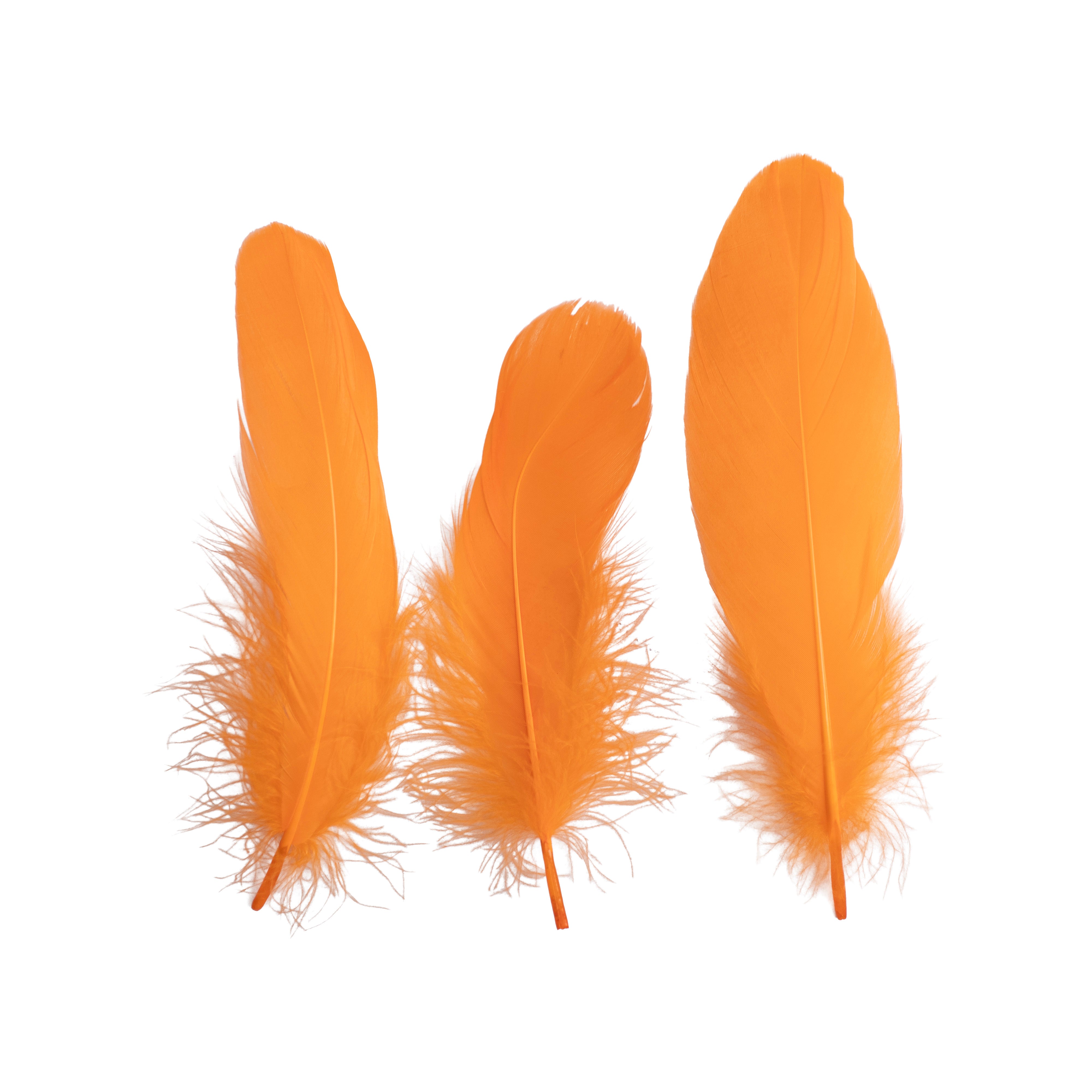 Goose Feathers Bright Approx 15 to 17cm 20pc