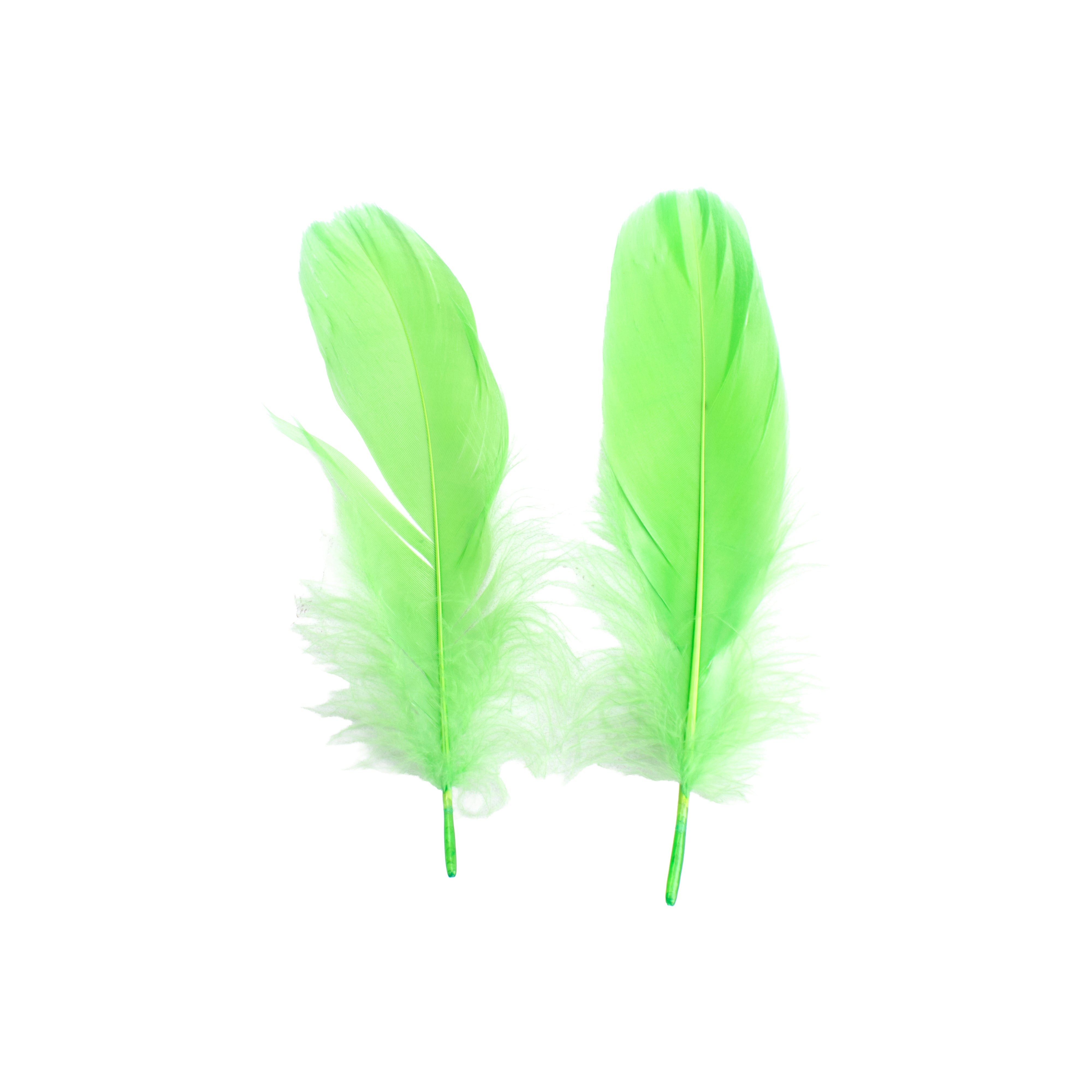 Goose Feathers Bright Approx 15 to 17cm 20pc