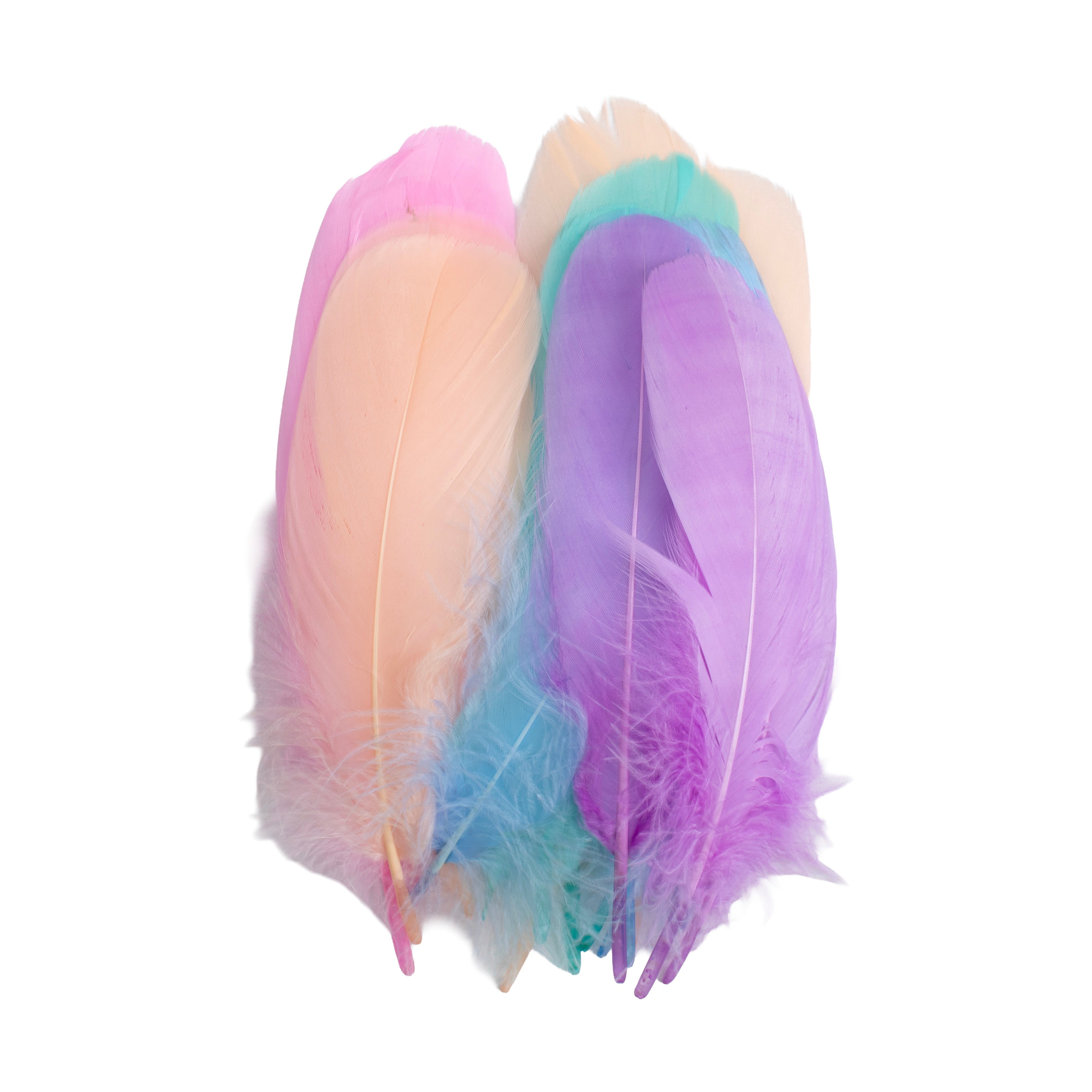 Goose Feathers Pastel 15 to 17cm 20pc