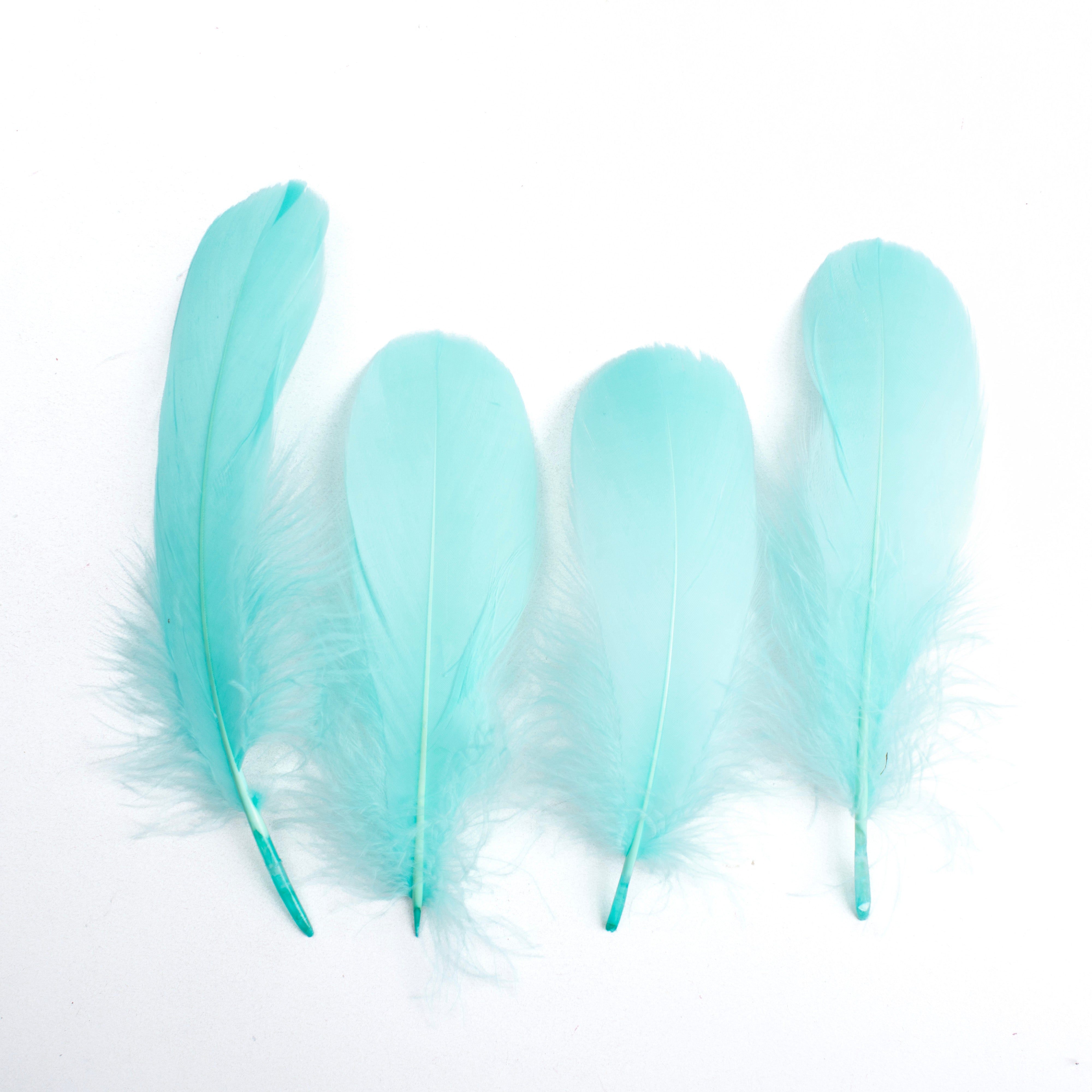 Goose Feathers Pastel 15 to 17cm 20pc