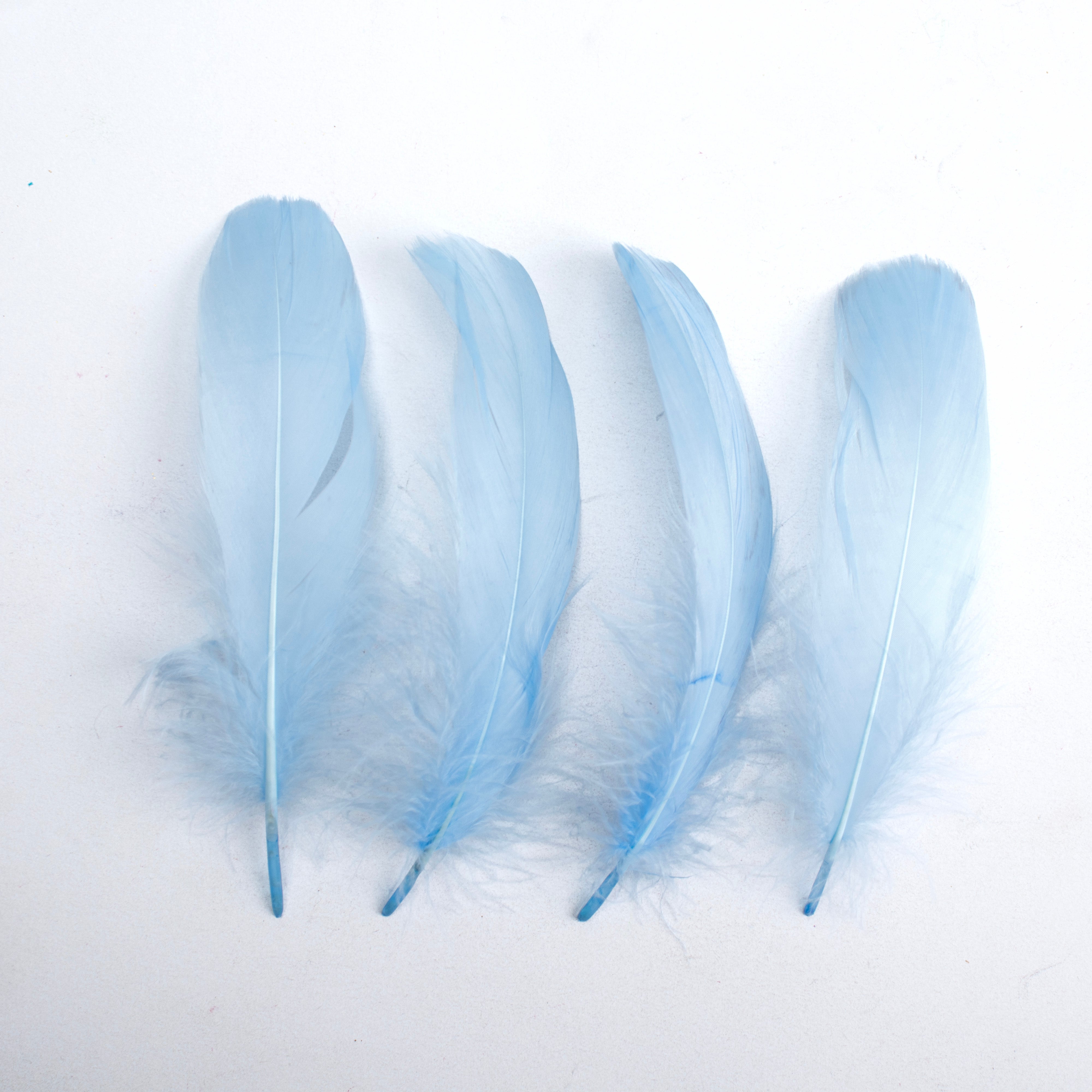 Goose Feathers Pastel 15 to 17cm 20pc