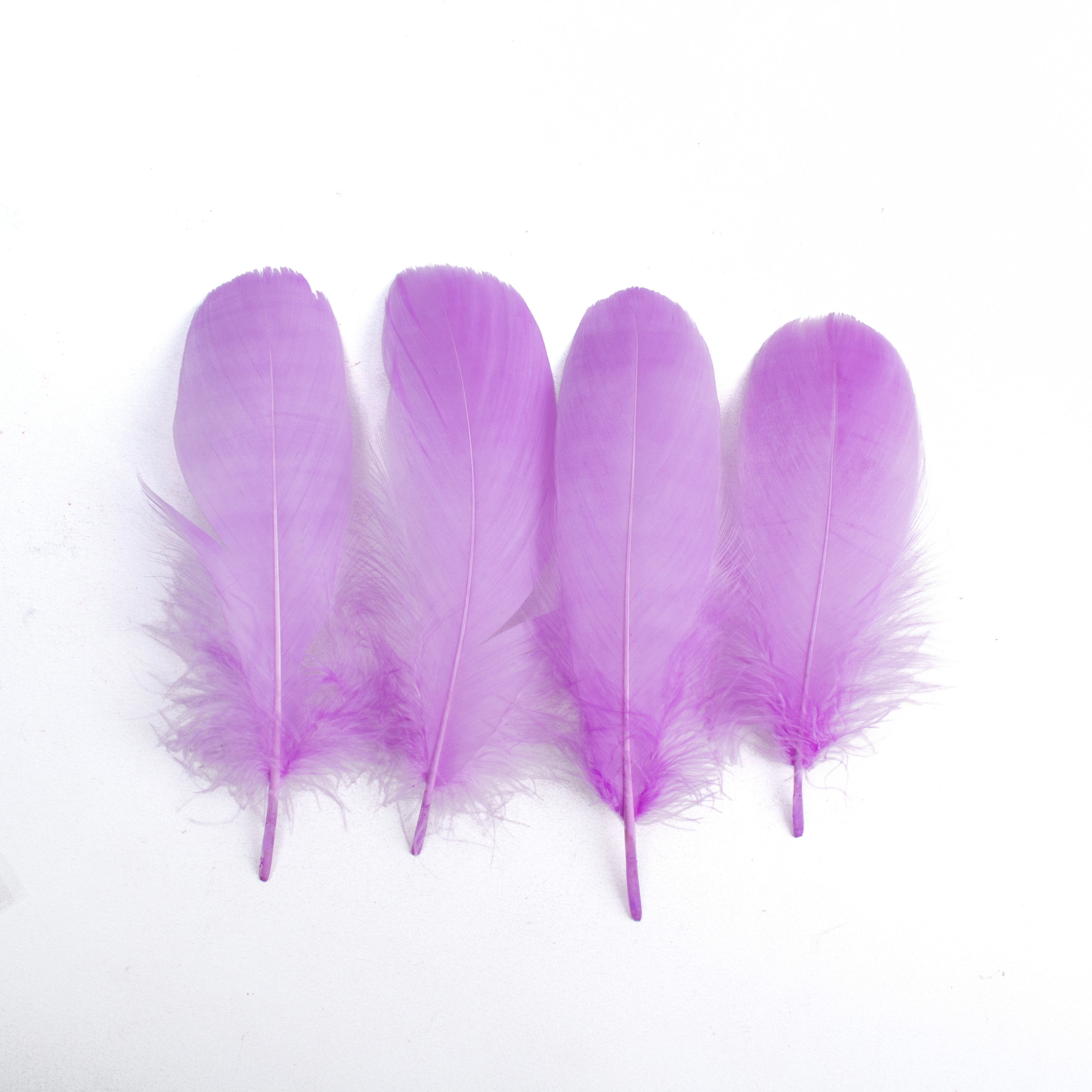 Goose Feathers Pastel 15 to 17cm 20pc
