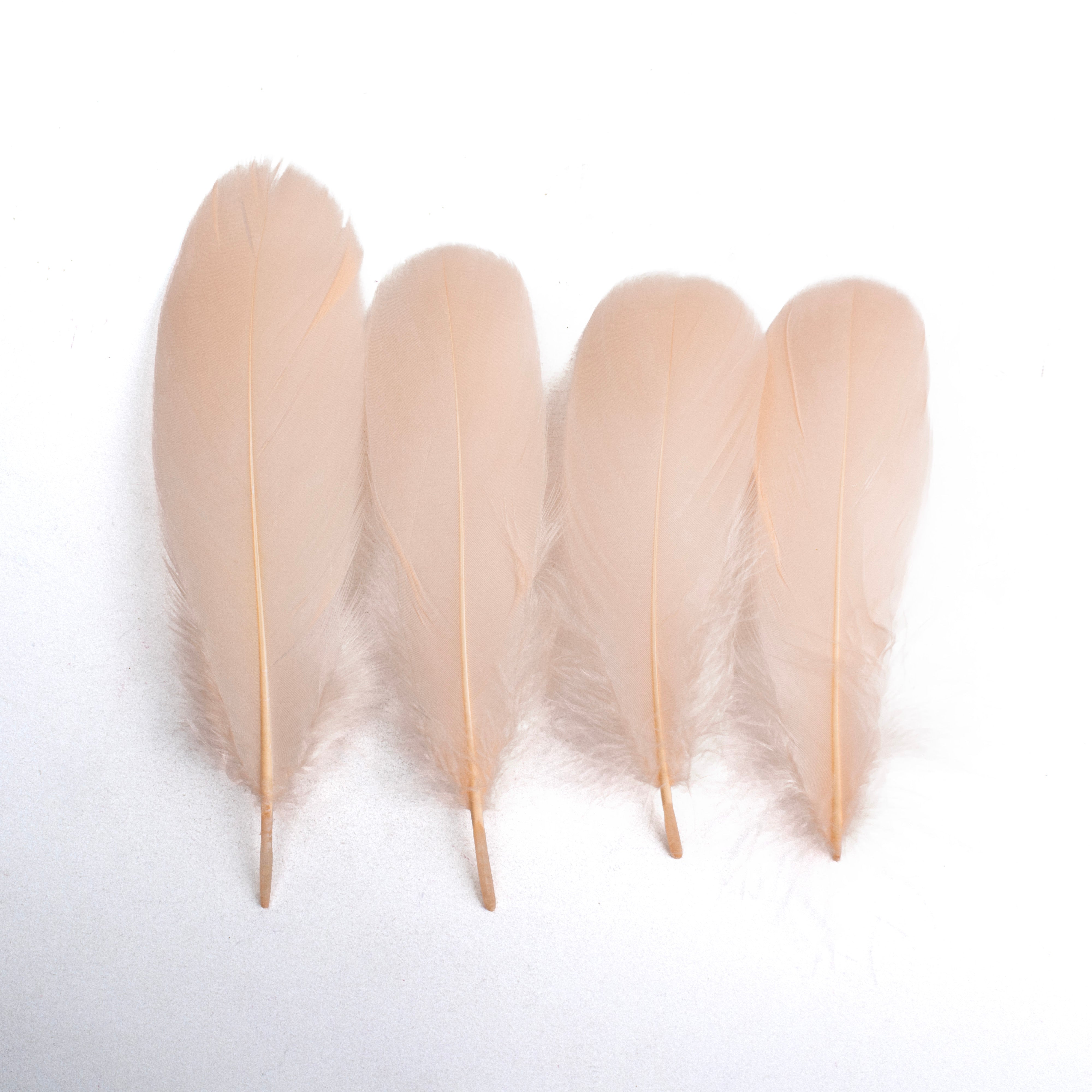 Goose Feathers Pastel 15 to 17cm 20pc
