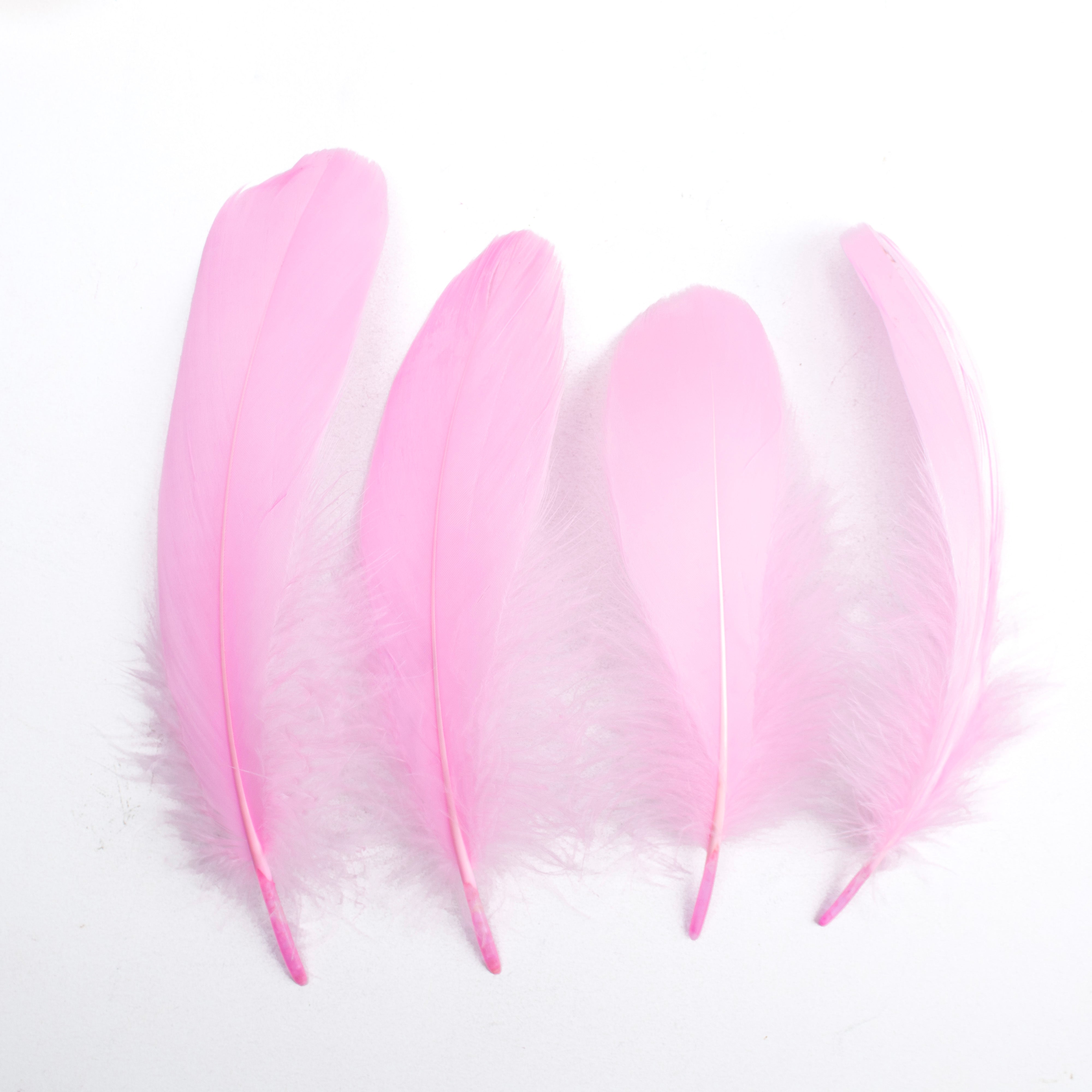 Goose Feathers Pastel 15 to 17cm 20pc