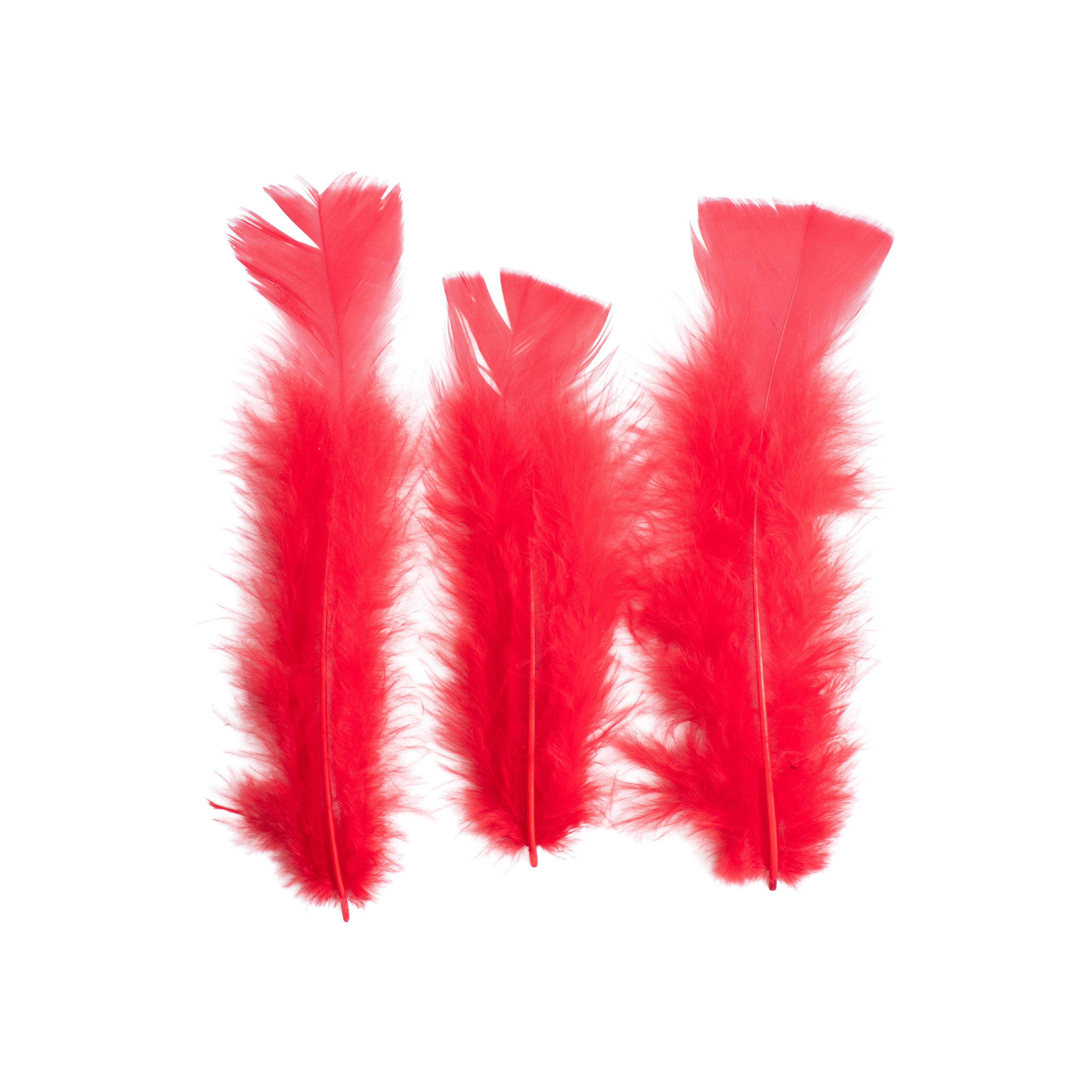 Turkey Feathers Bright 10 to 15cm 20pc