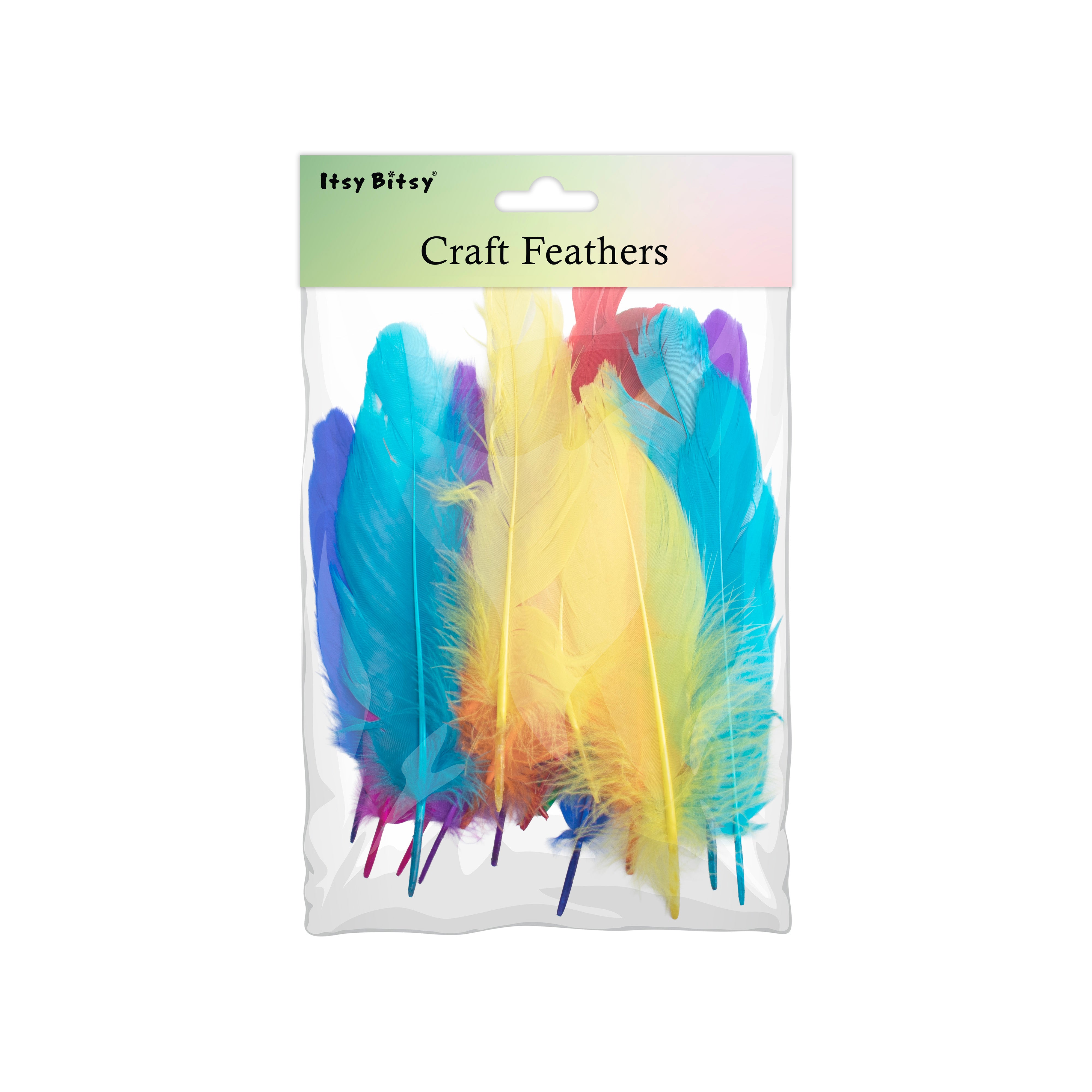 Duck Feathers Bright 10 to 15cm 20pc
