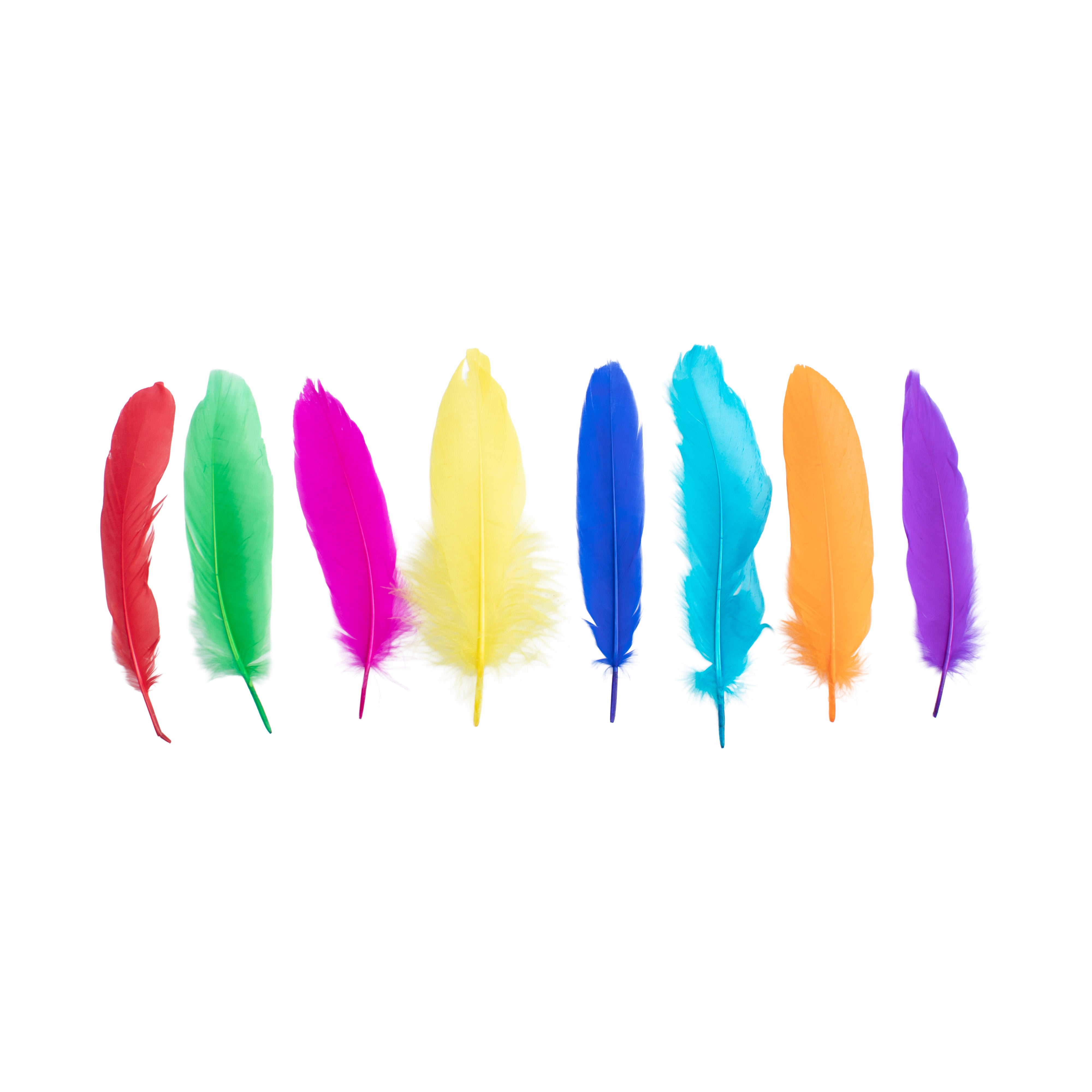 Duck Feathers Bright 10 to 15cm 20pc