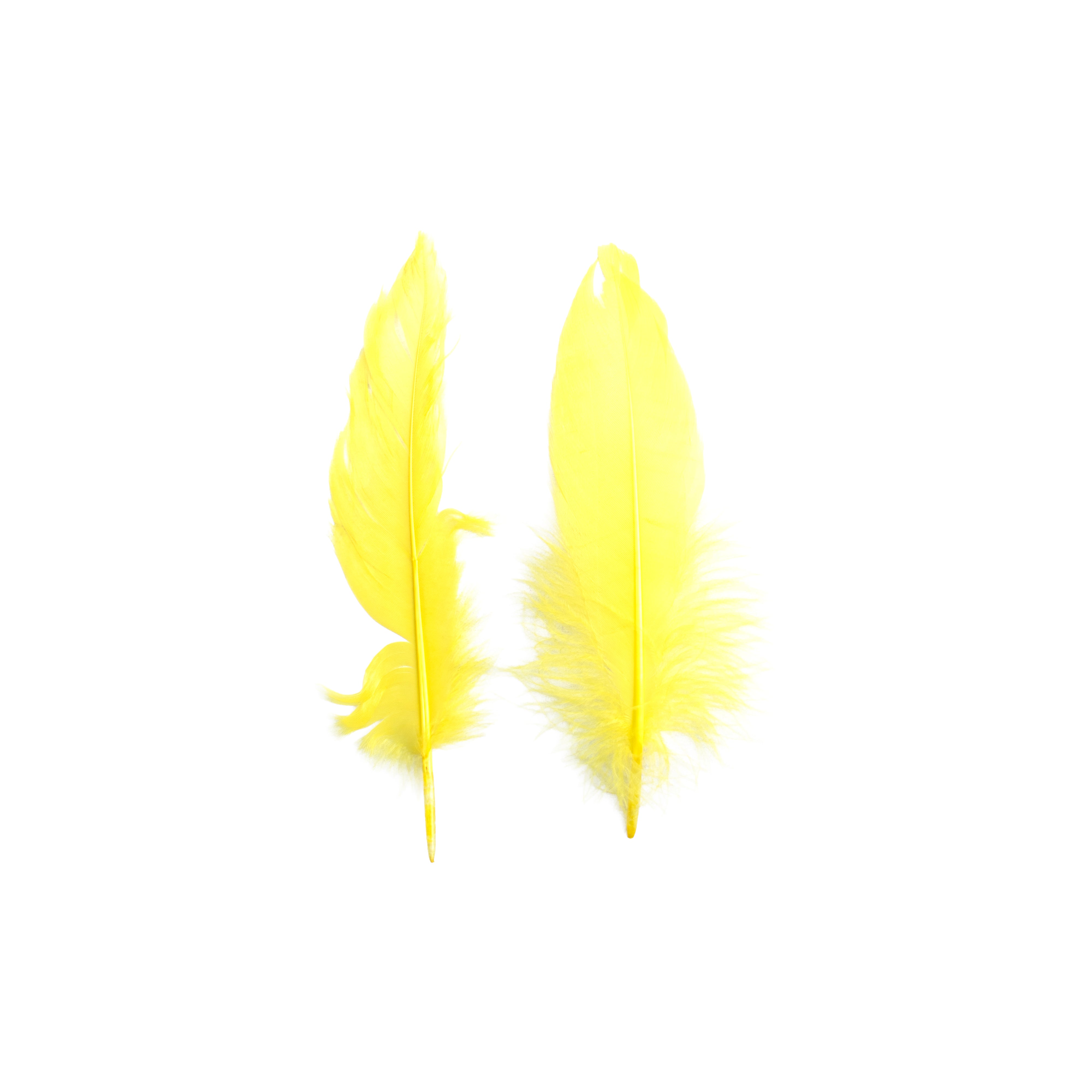 Duck Feathers Bright 10 to 15cm 20pc