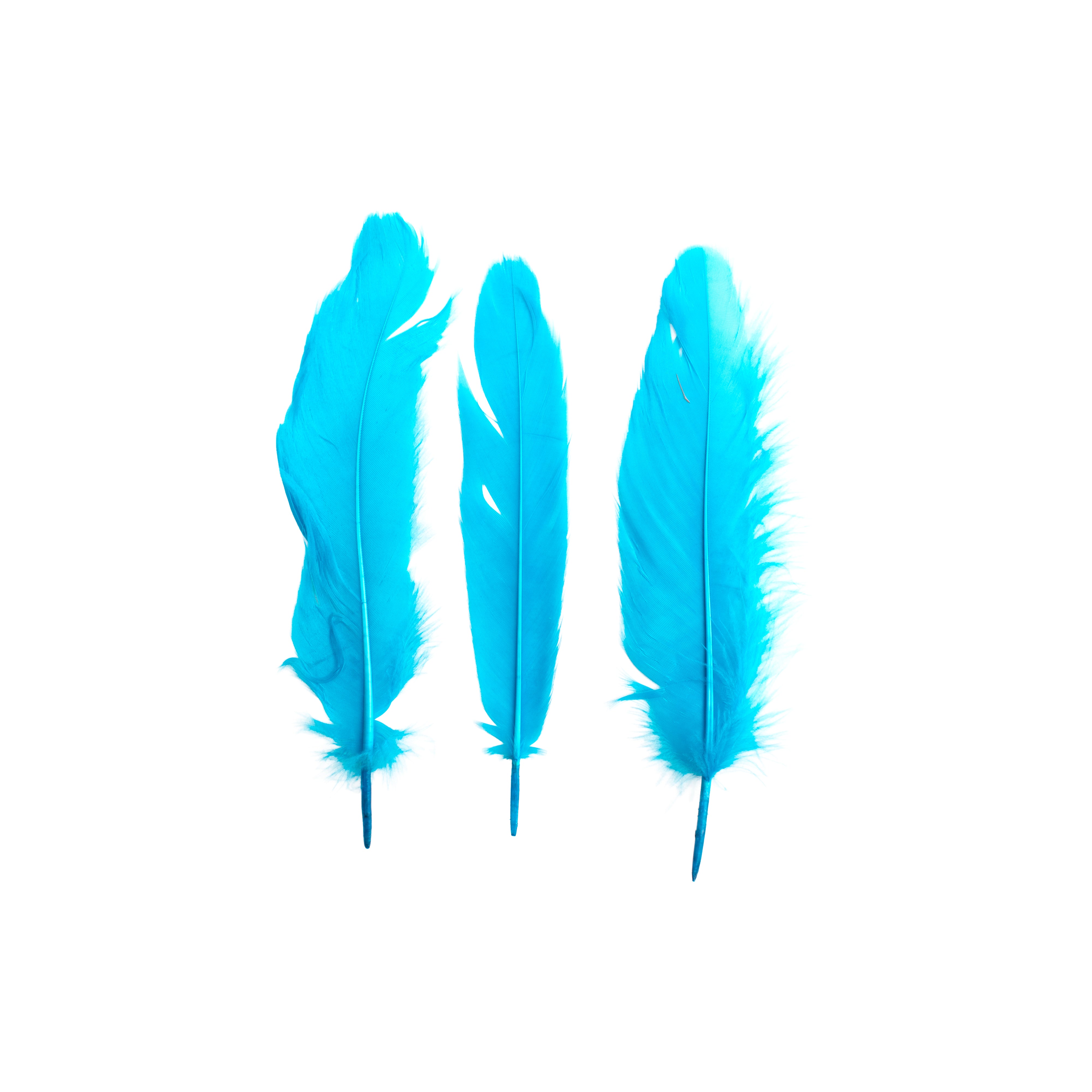 Duck Feathers Bright 10 to 15cm 20pc