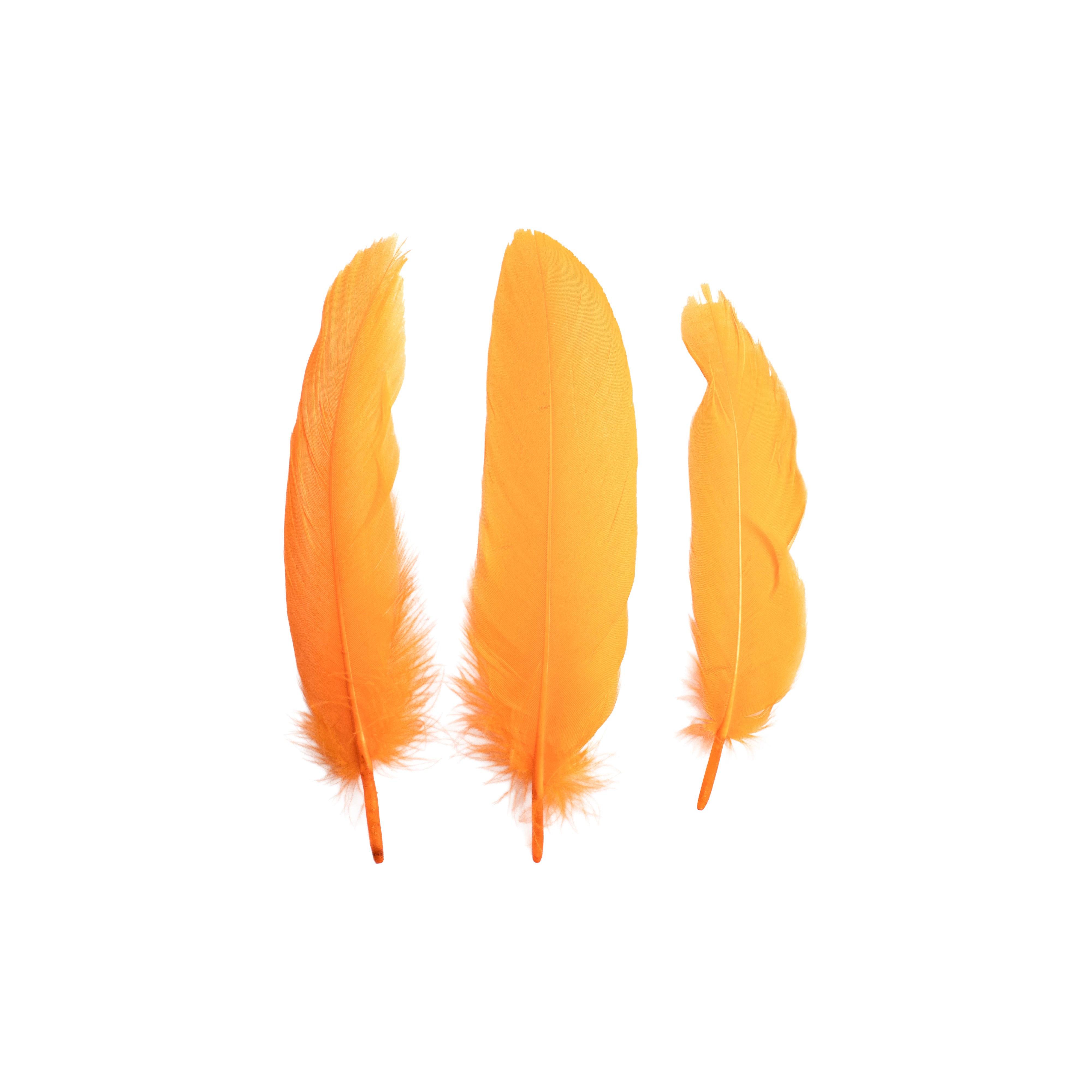 Duck Feathers Bright 10 to 15cm 20pc