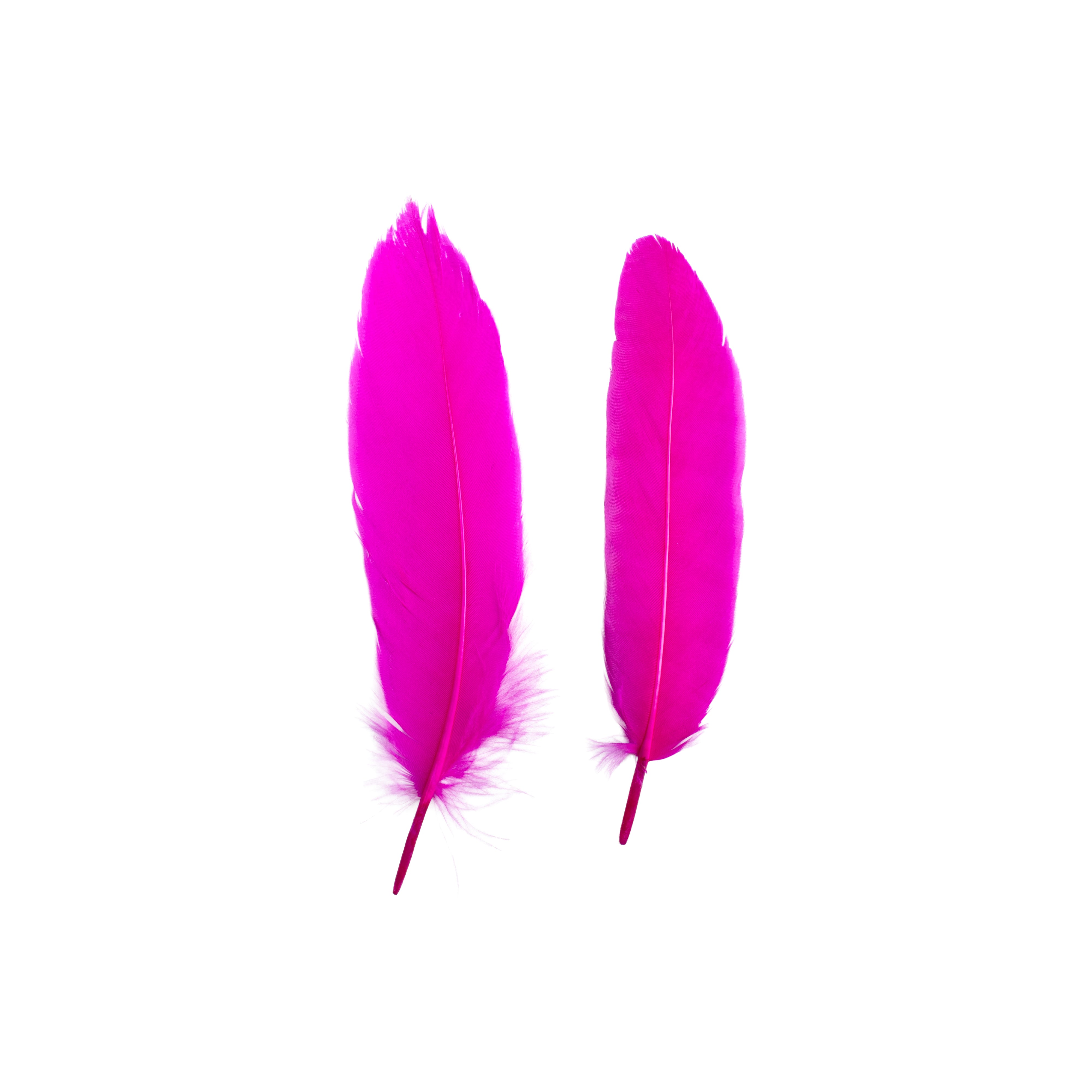 Duck Feathers Bright 10 to 15cm 20pc