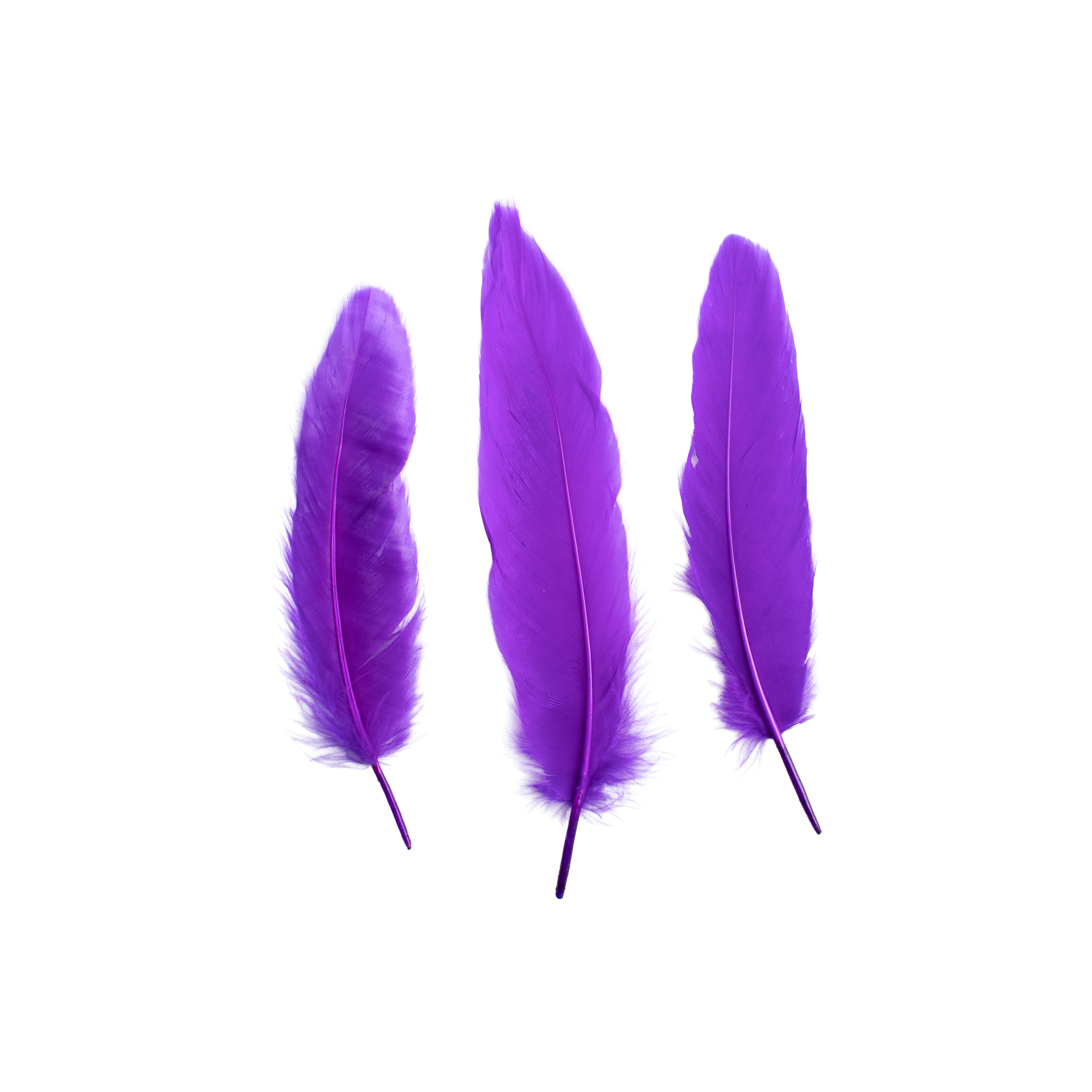 Duck Feathers Bright 10 to 15cm 20pc