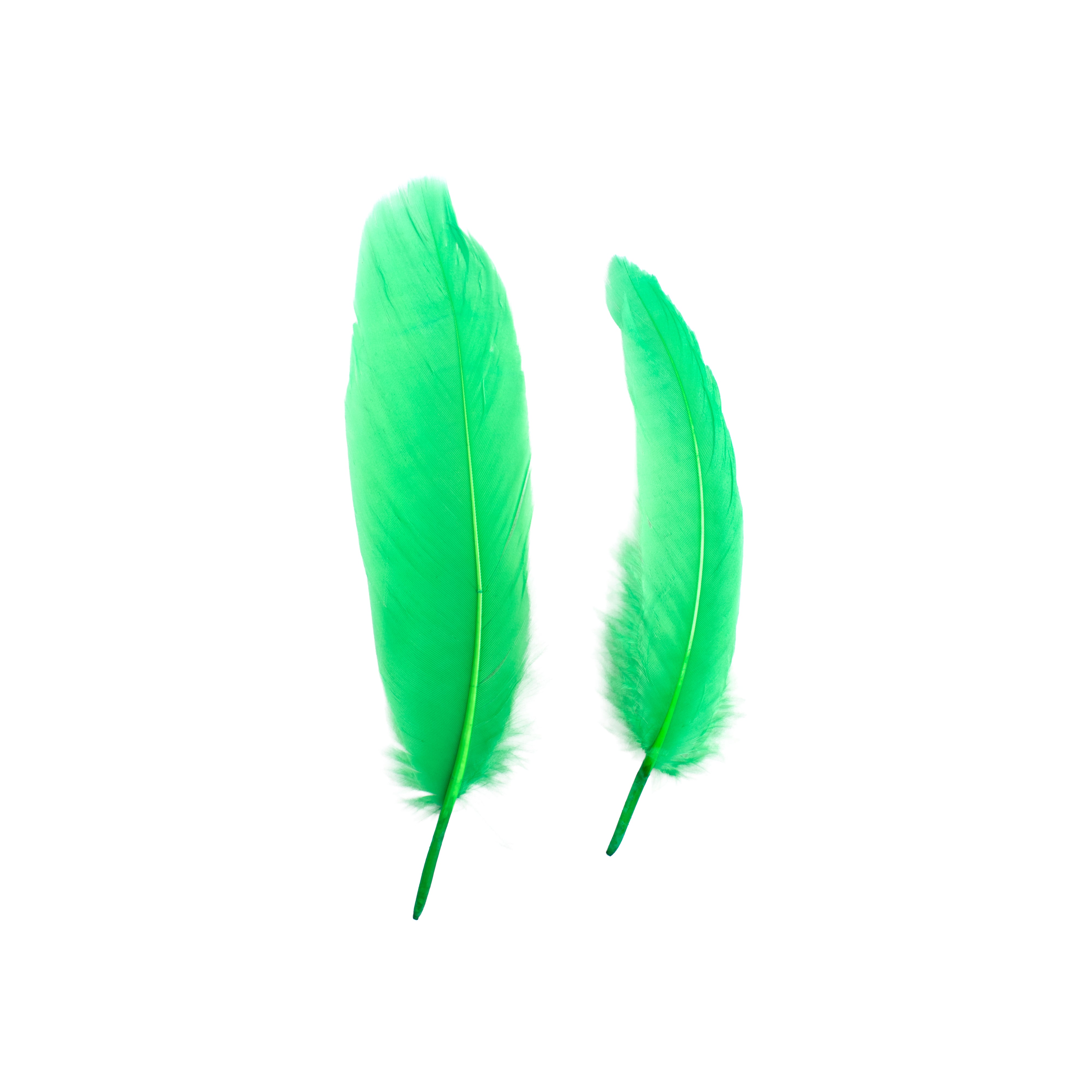 Duck Feathers Bright 10 to 15cm 20pc