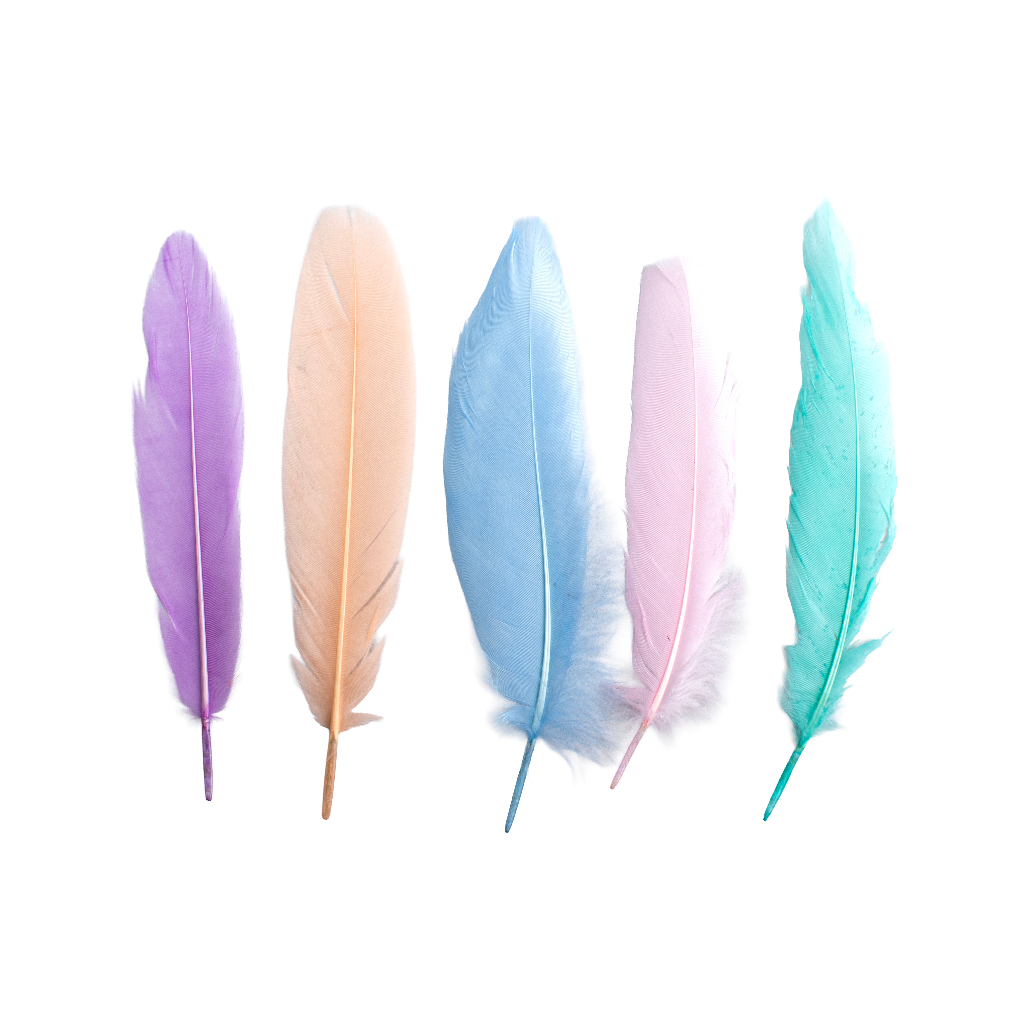 Duck Feathers Pastel 10 to 15cm 20pc