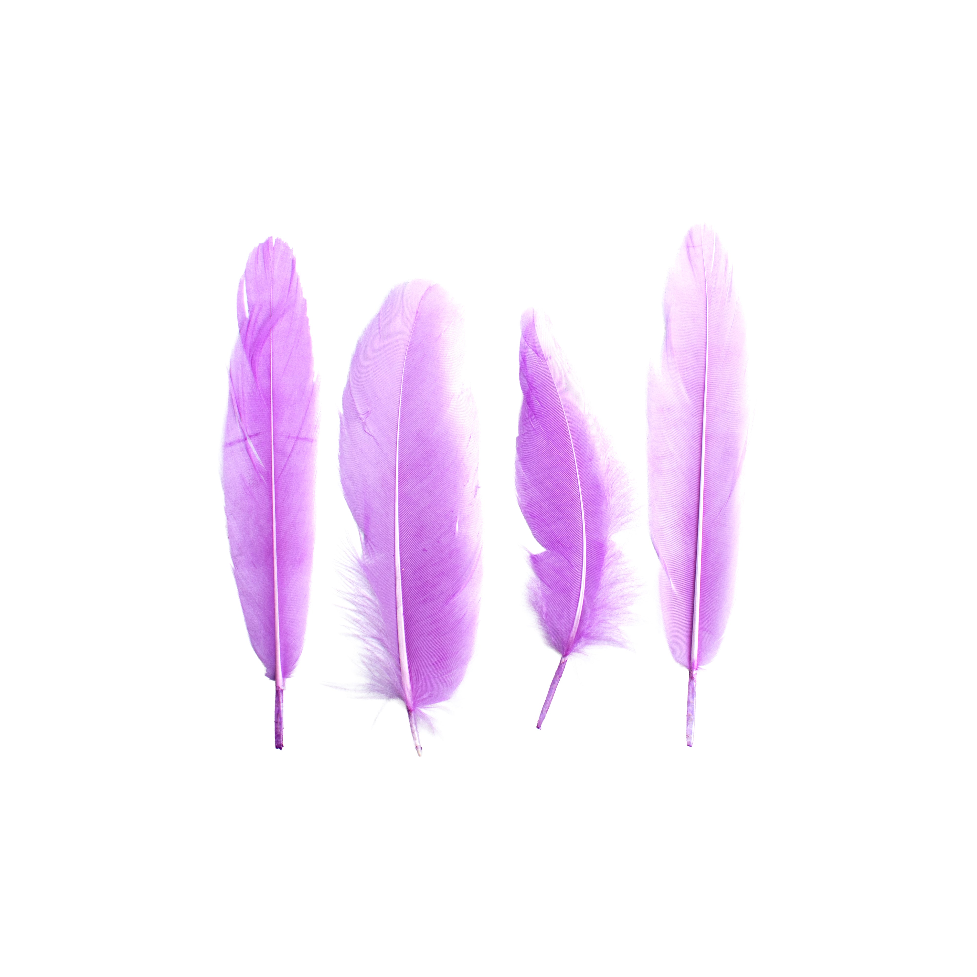 Duck Feathers Pastel 10 to 15cm 20pc