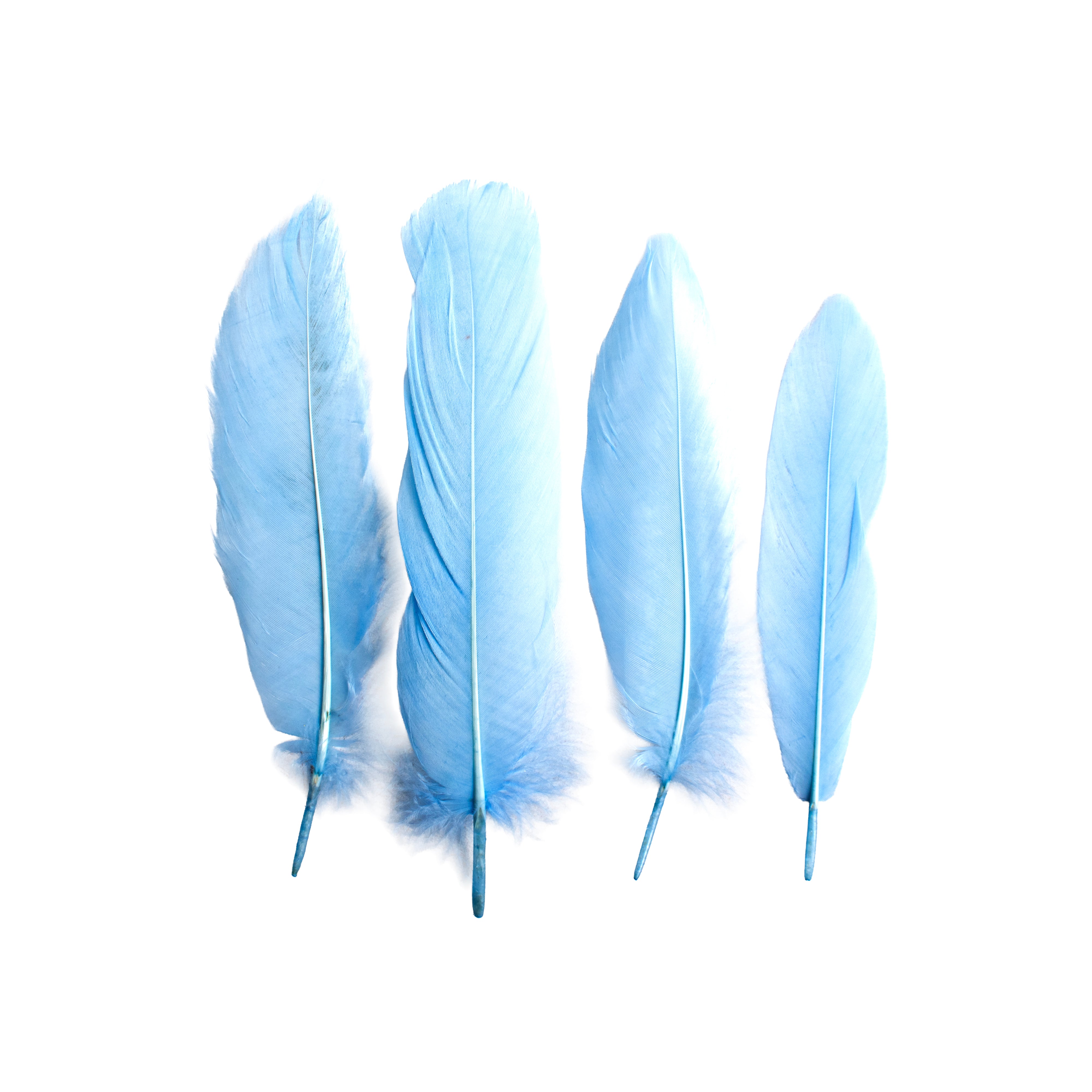 Duck Feathers Pastel 10 to 15cm 20pc