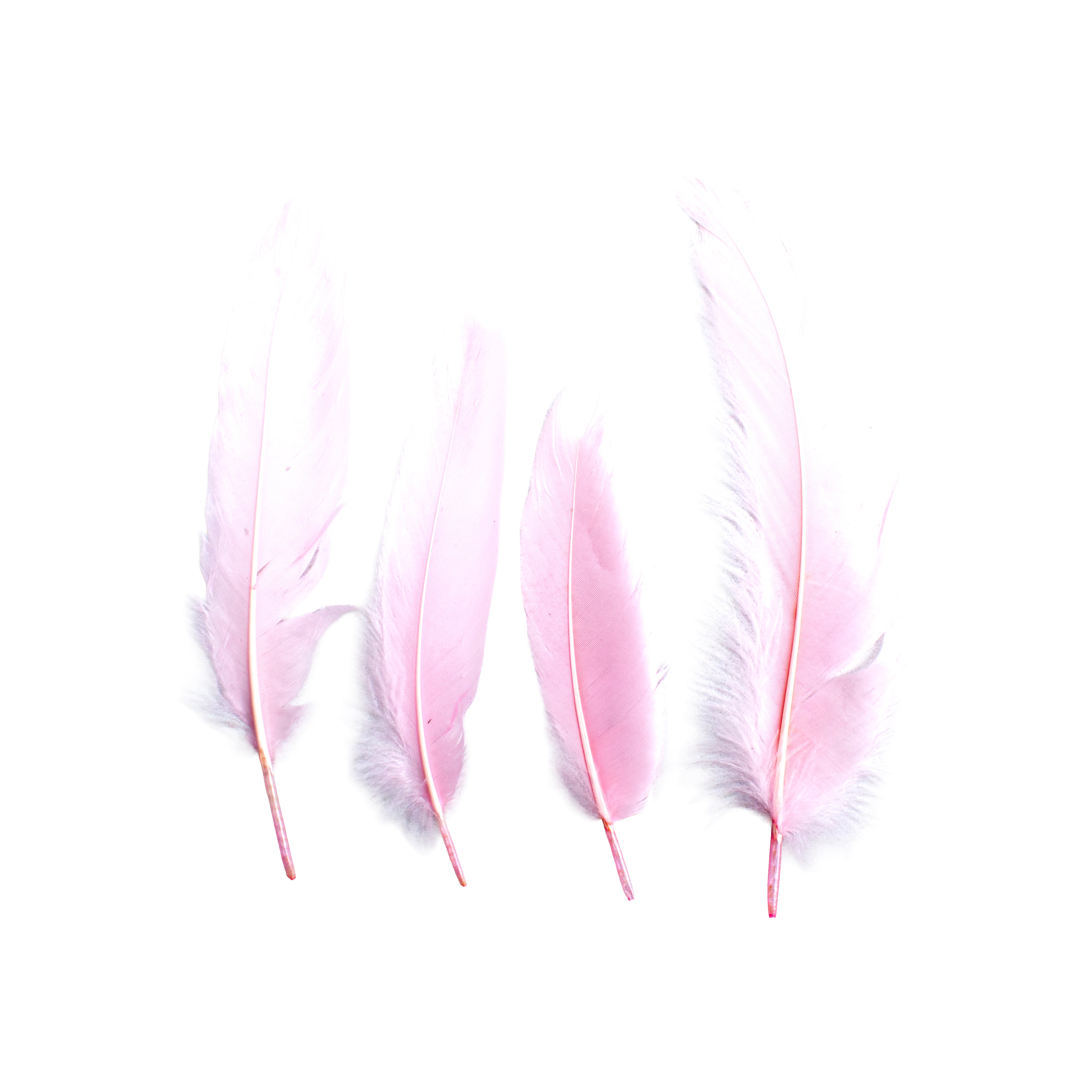 Duck Feathers Pastel 10 to 15cm 20pc