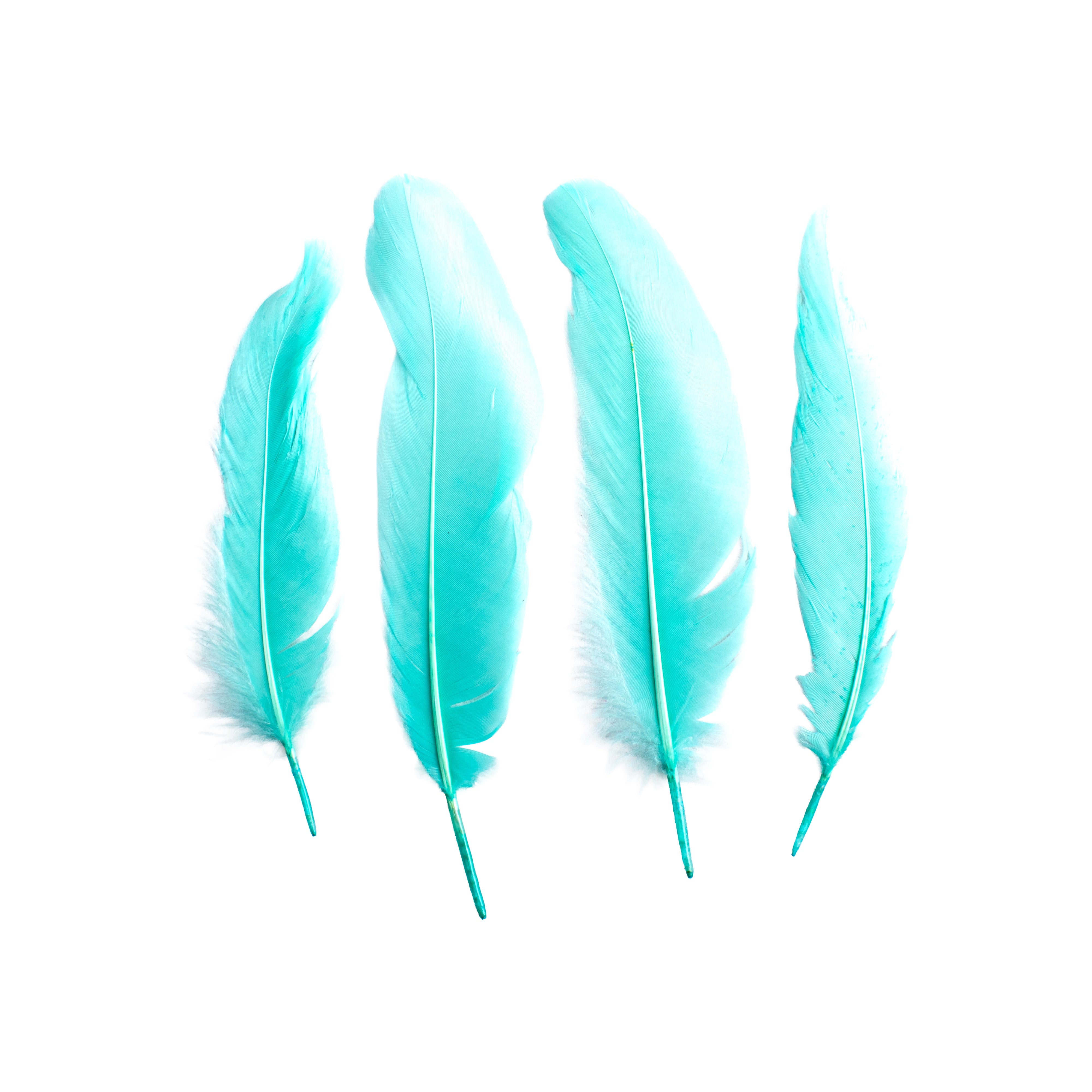 Duck Feathers Pastel 10 to 15cm 20pc