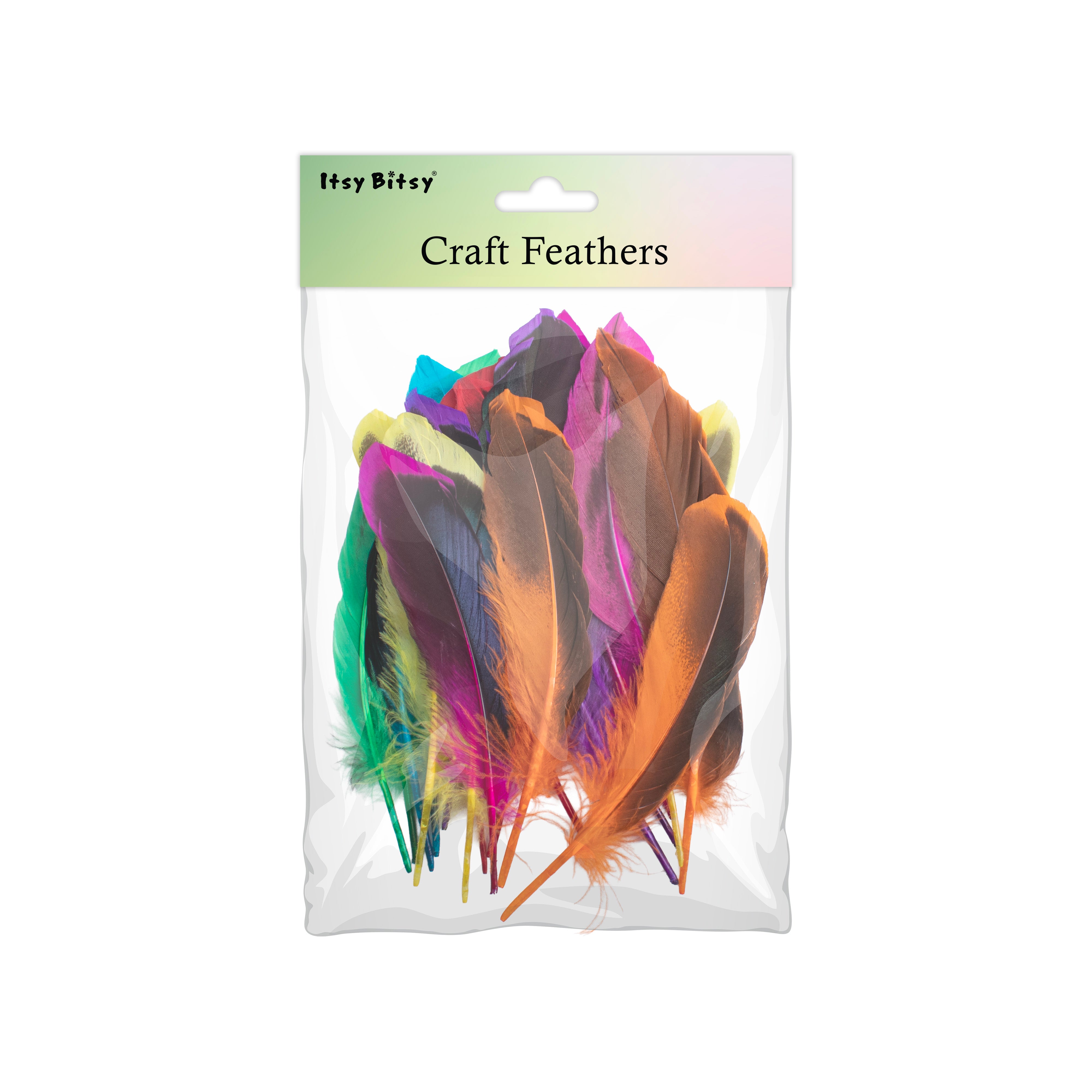 Duck Feathers Rainbow Black 10 to 15cm 20pc