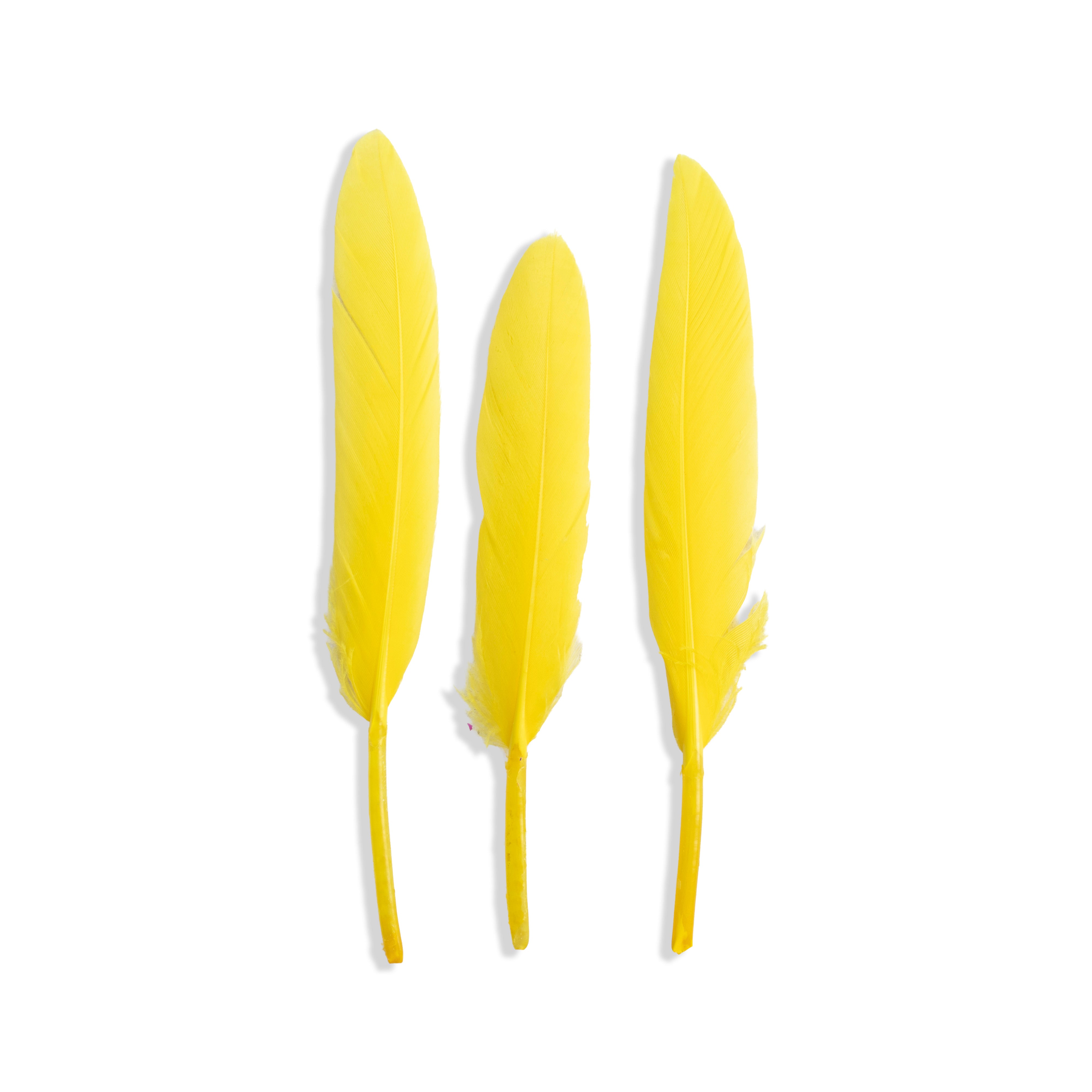 Goose Feathers Vibrant 10 to 15cm 20pc