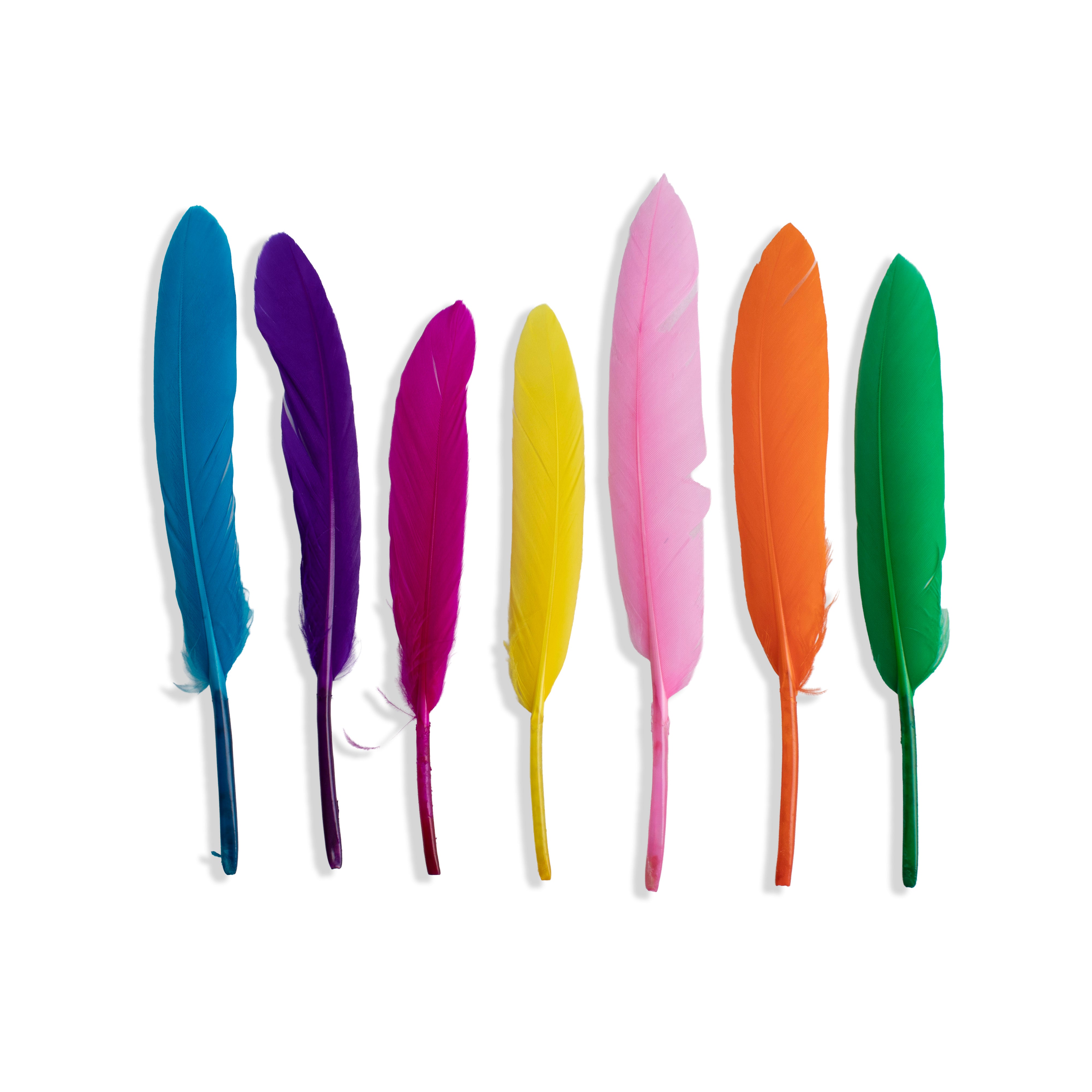 Goose Feathers Vibrant 10 to 15cm 20pc