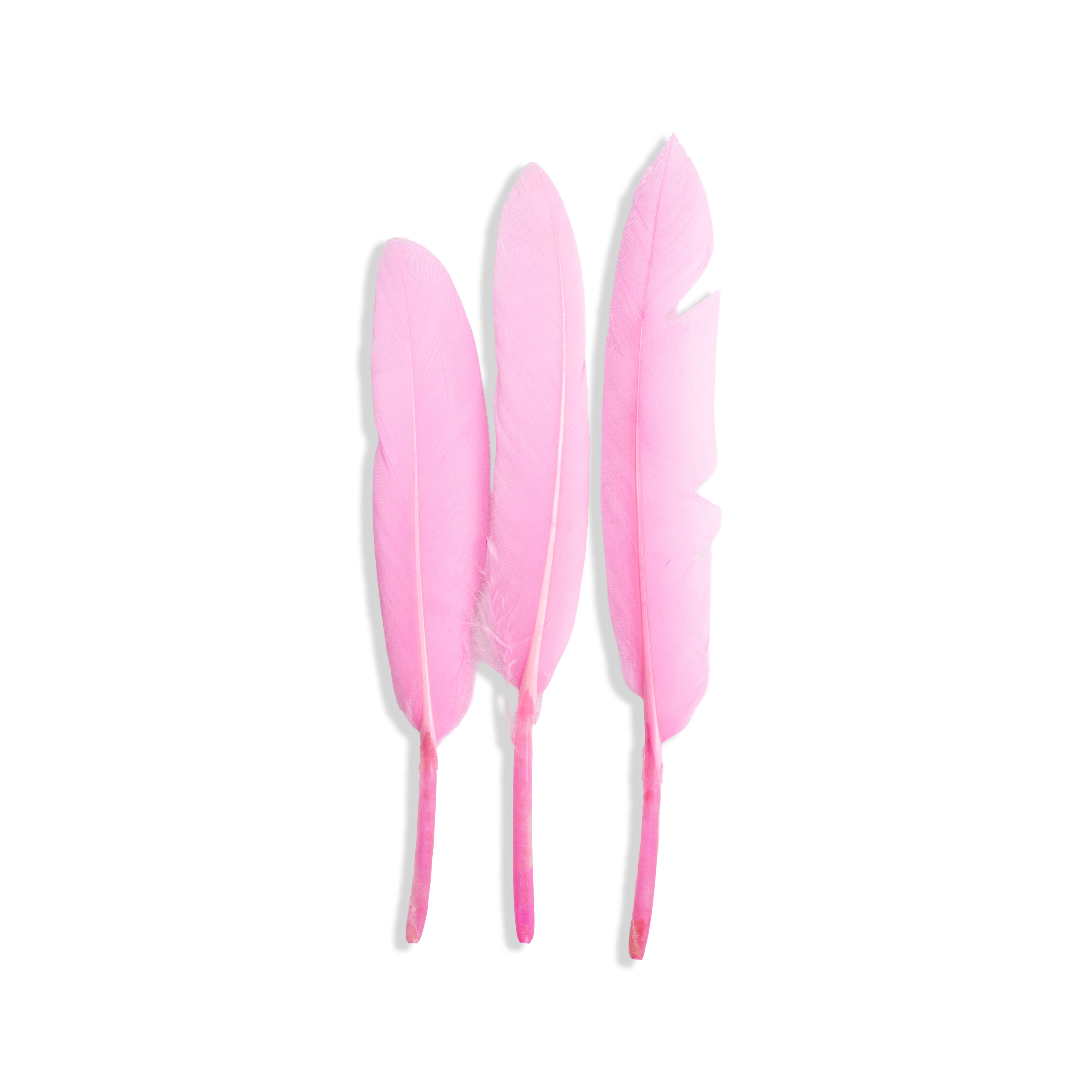 Goose Feathers Vibrant 10 to 15cm 20pc