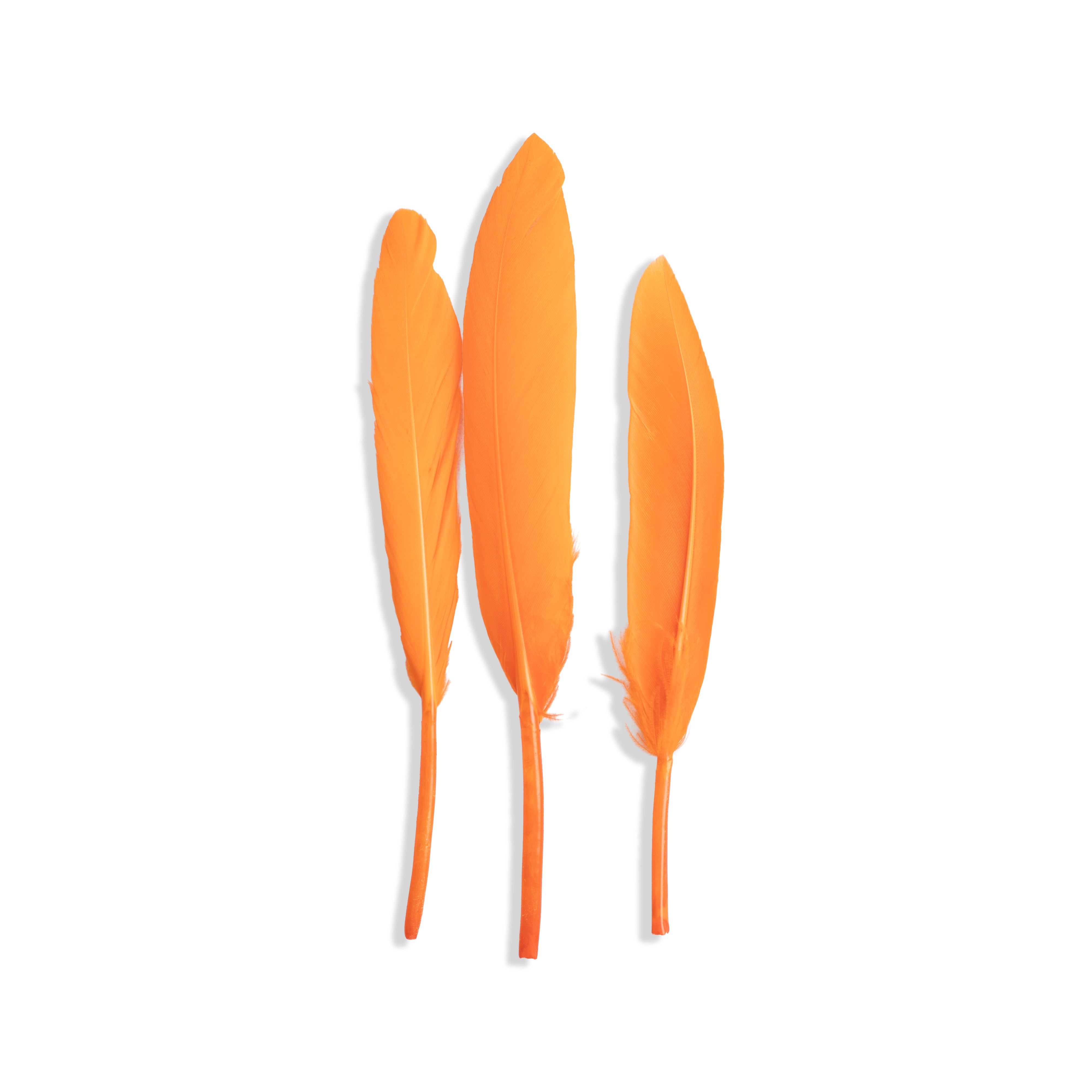 Goose Feathers Vibrant 10 to 15cm 20pc