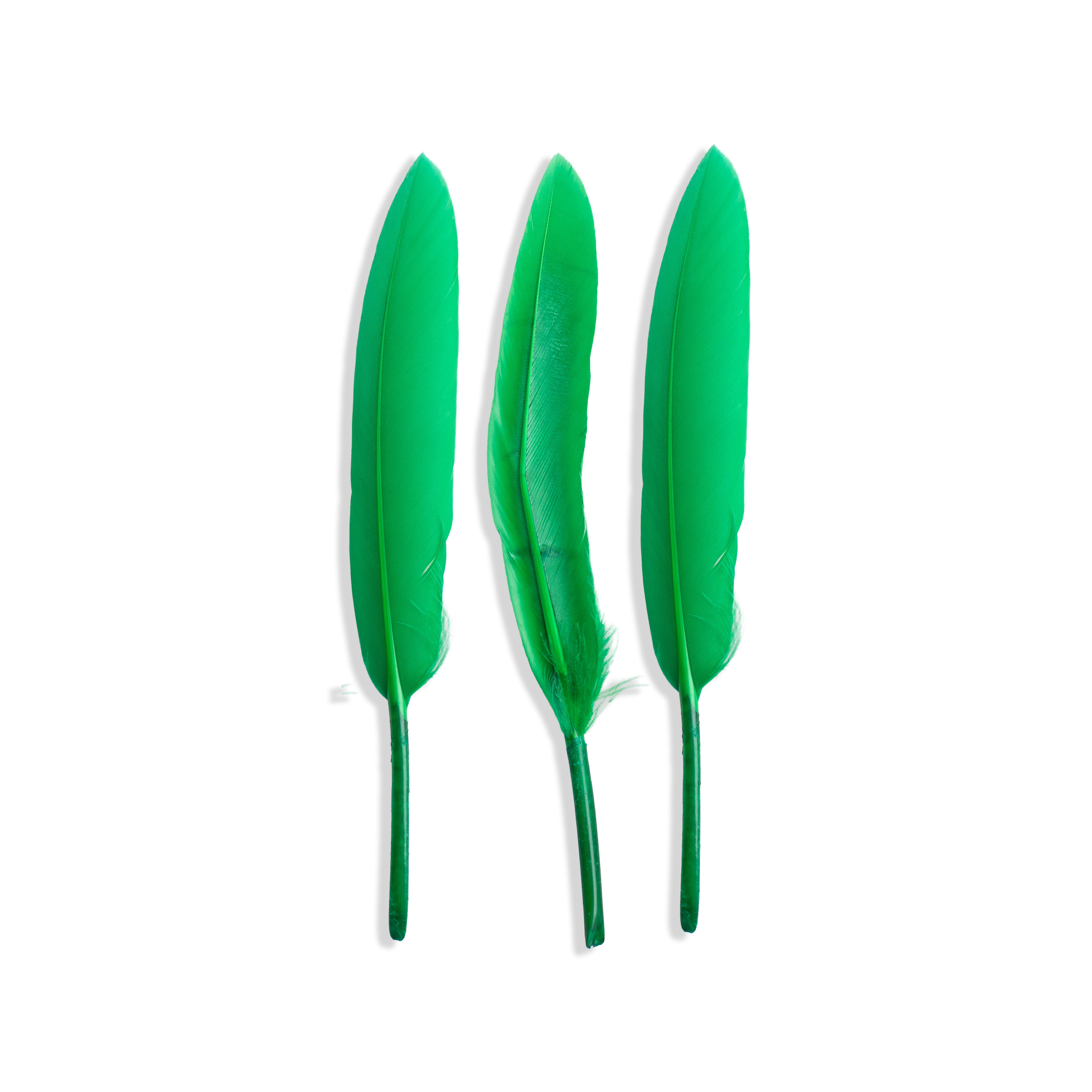 Goose Feathers Vibrant 10 to 15cm 20pc