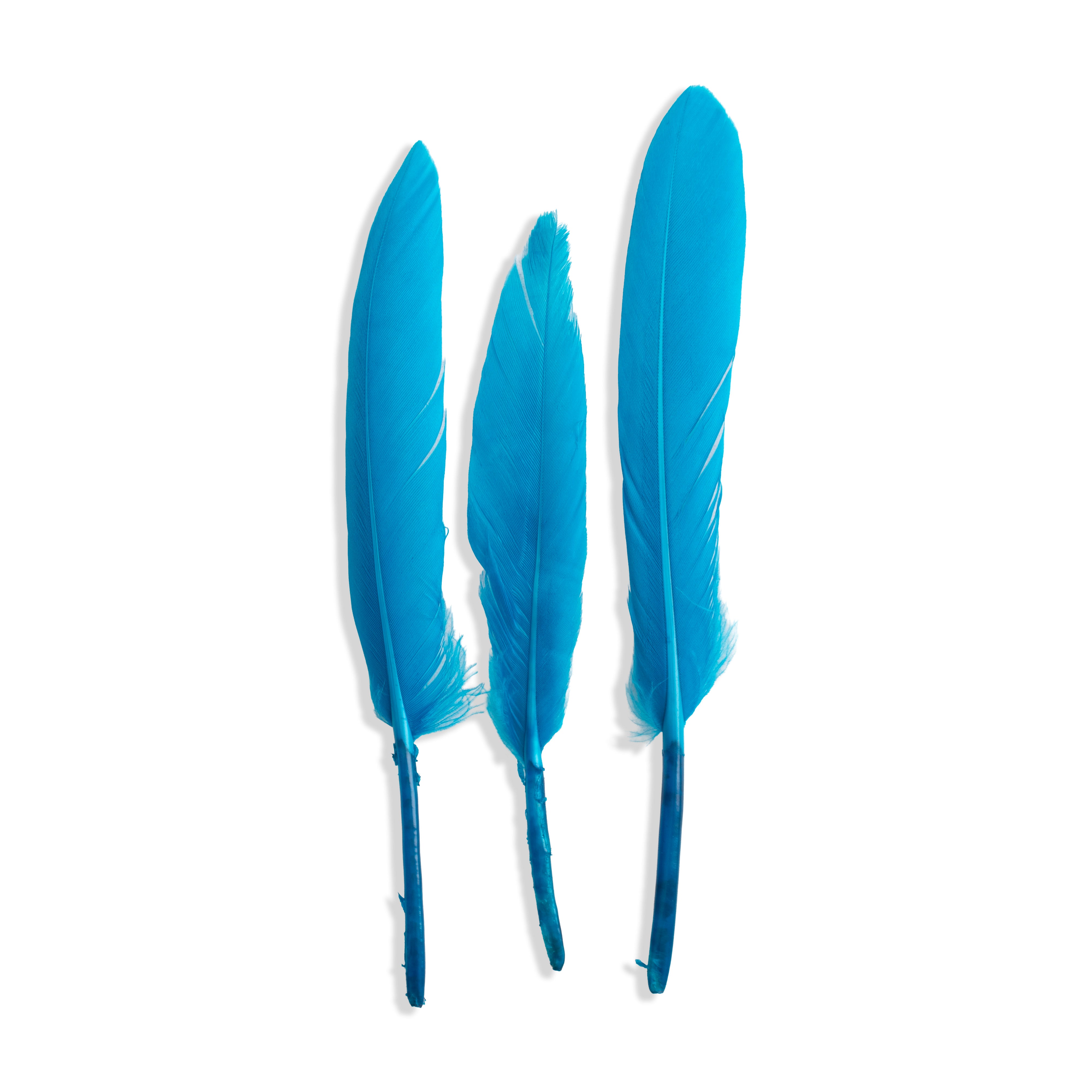Goose Feathers Vibrant 10 to 15cm 20pc